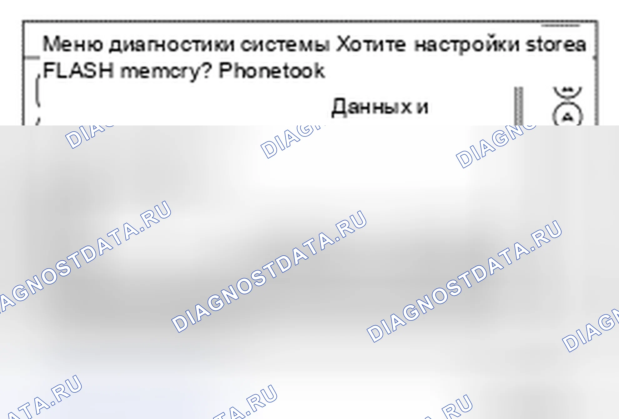 Рис. 165: Инициализация пользовательских данных. Nissan Leaf I