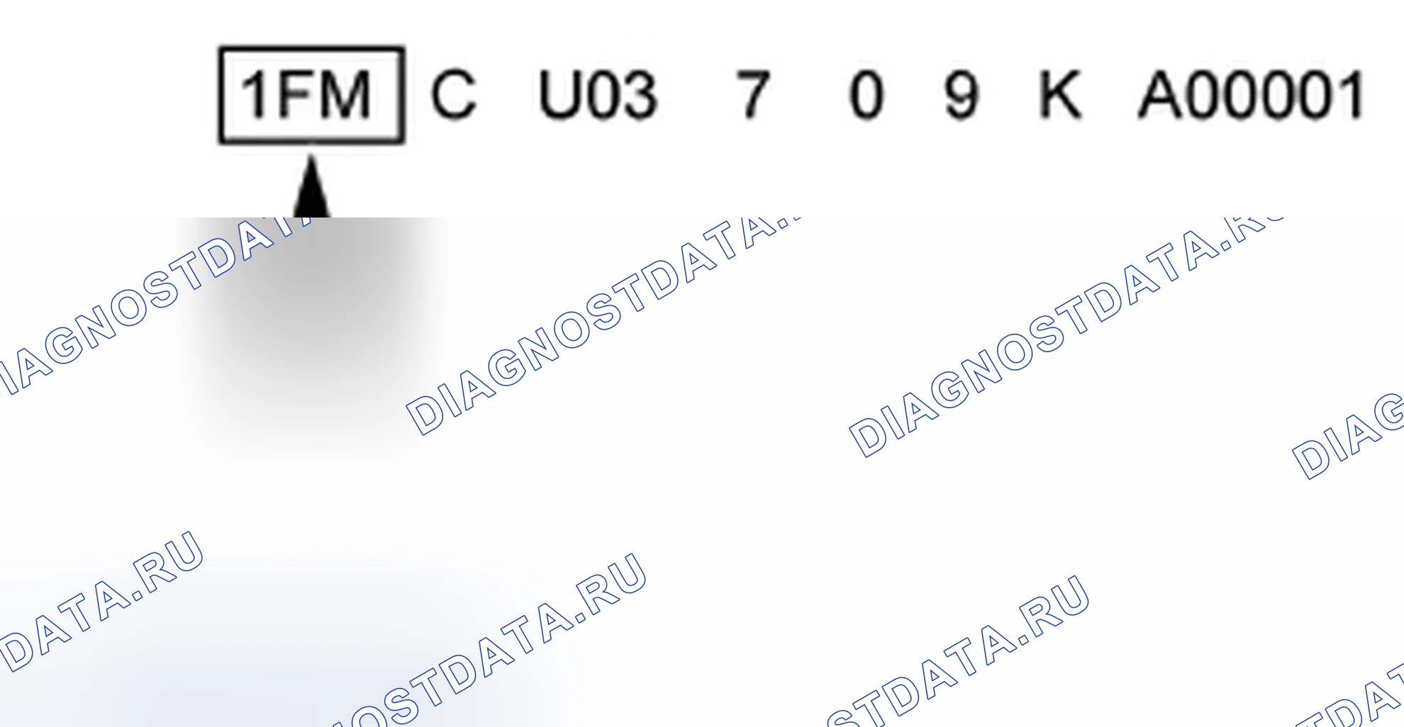 Рис. 3: Идентификатор мирового производителя (WMI). Ford Escape I рестайлинг 2