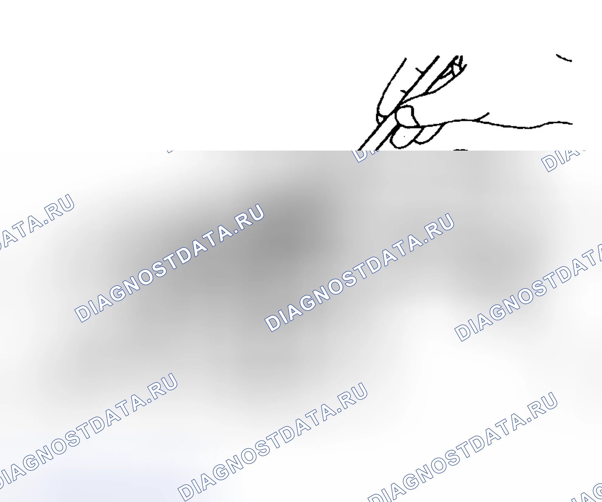 Рис. 76. Toyota Highlander I