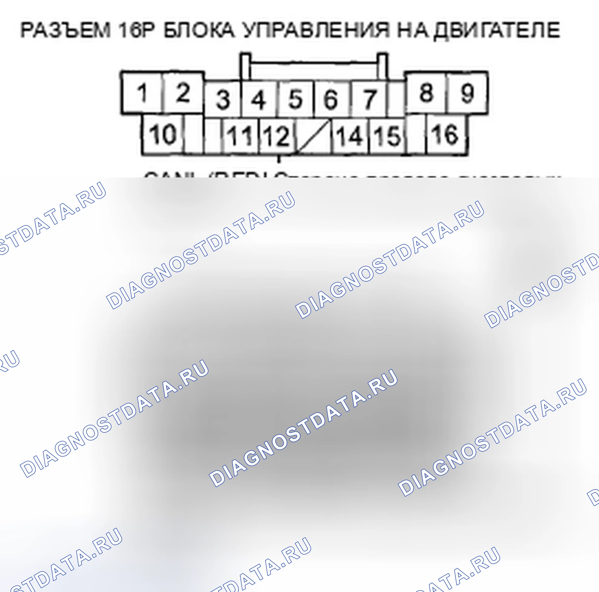 Рис. 235. Honda Accord VIII