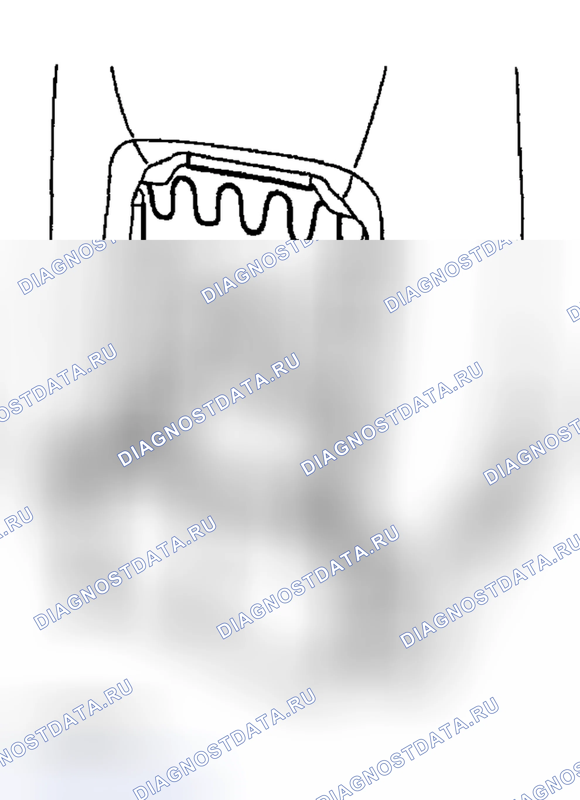 Рис. 6. Haval Chitu I
