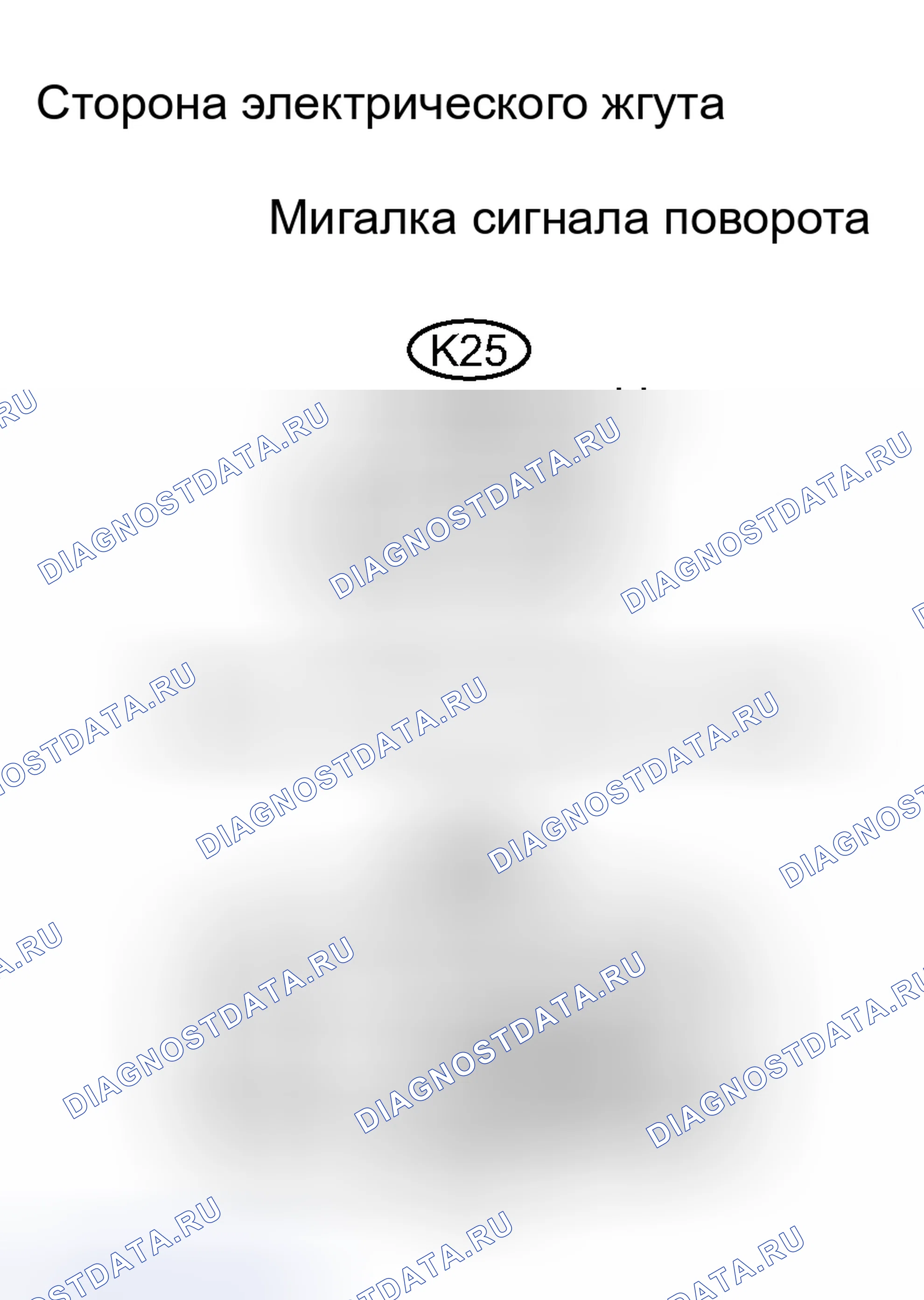 Рис. 52. Haval H8 I