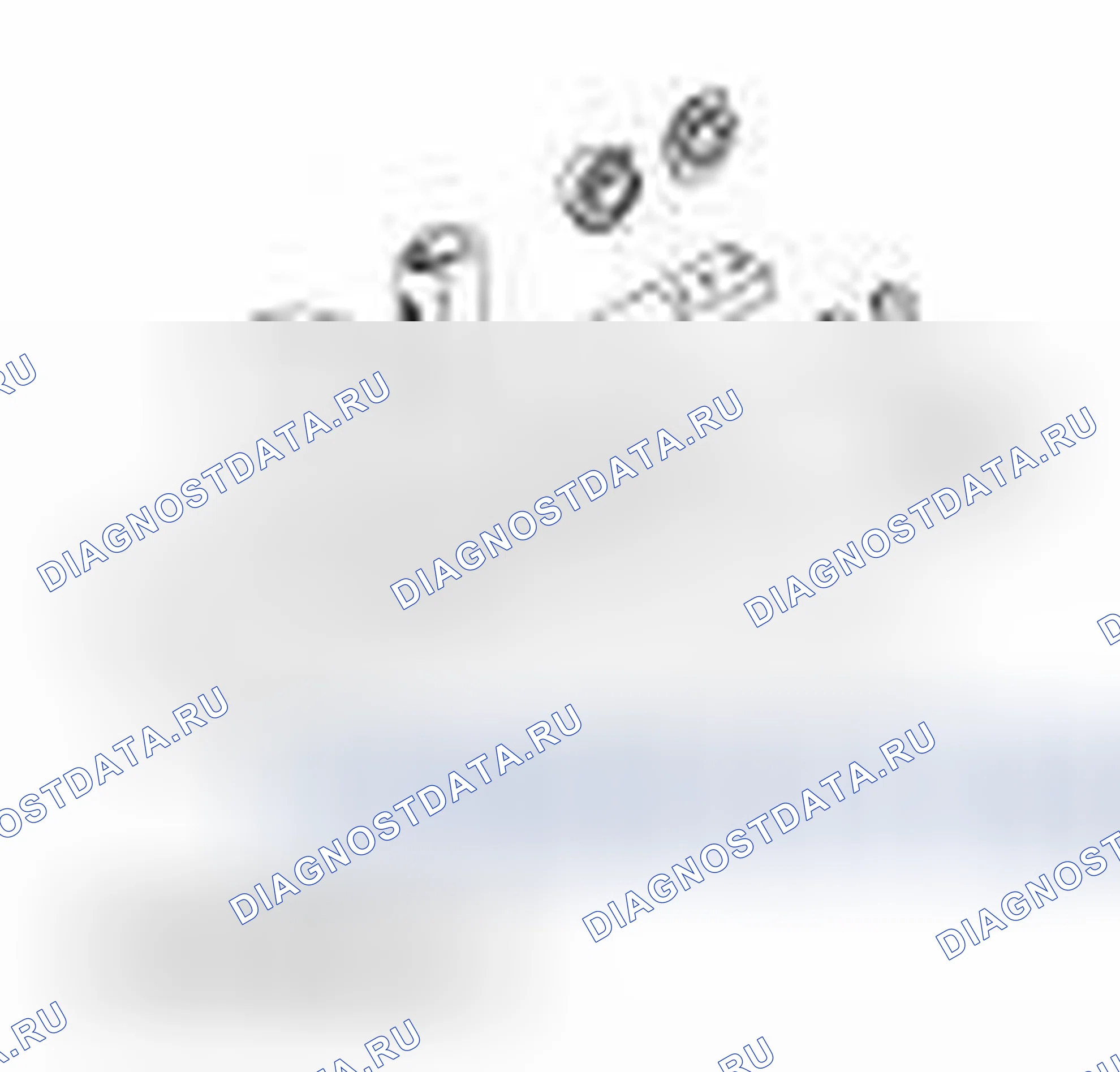 Рис. 686. Ford Freestyle I