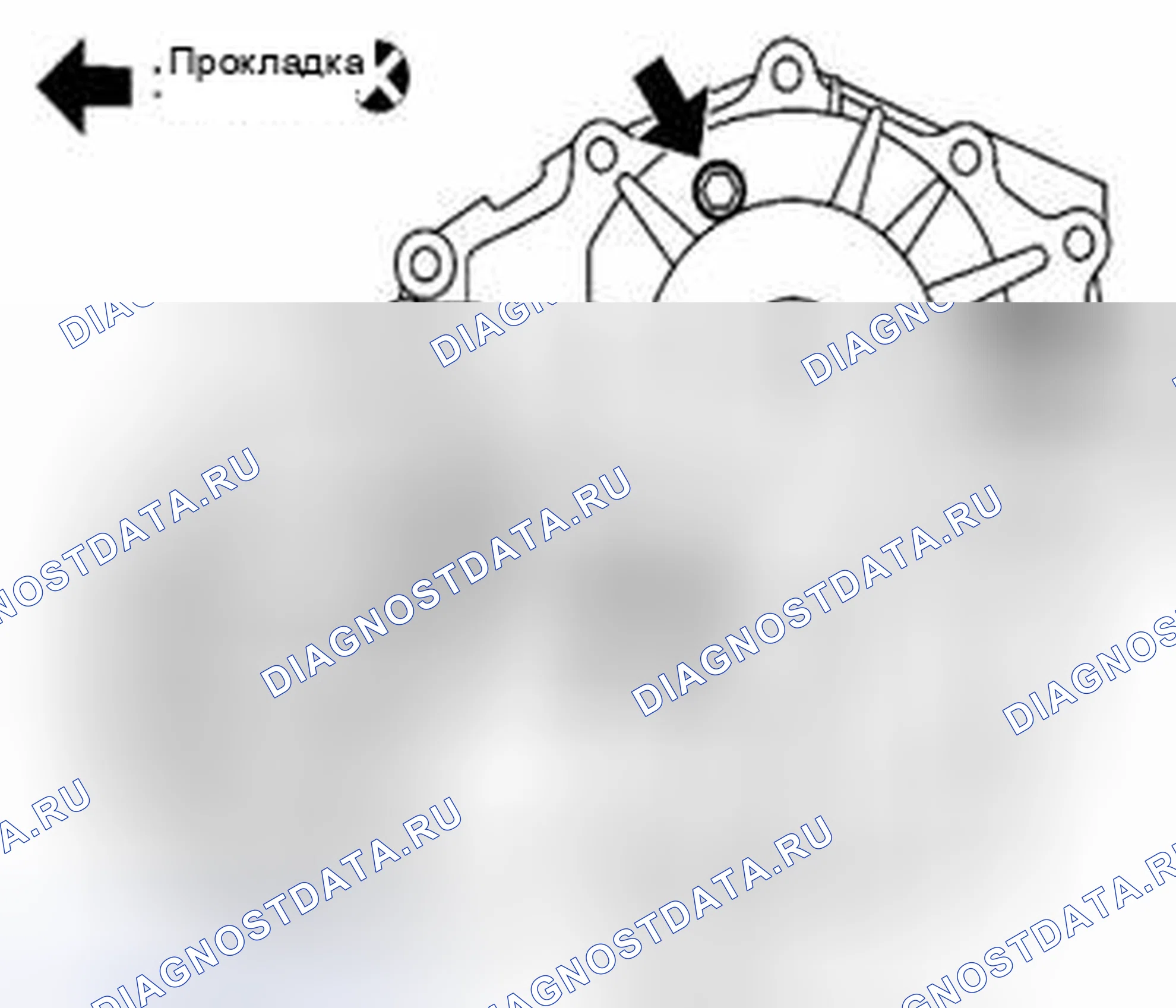 Рис. 215. Suzuki Equator I