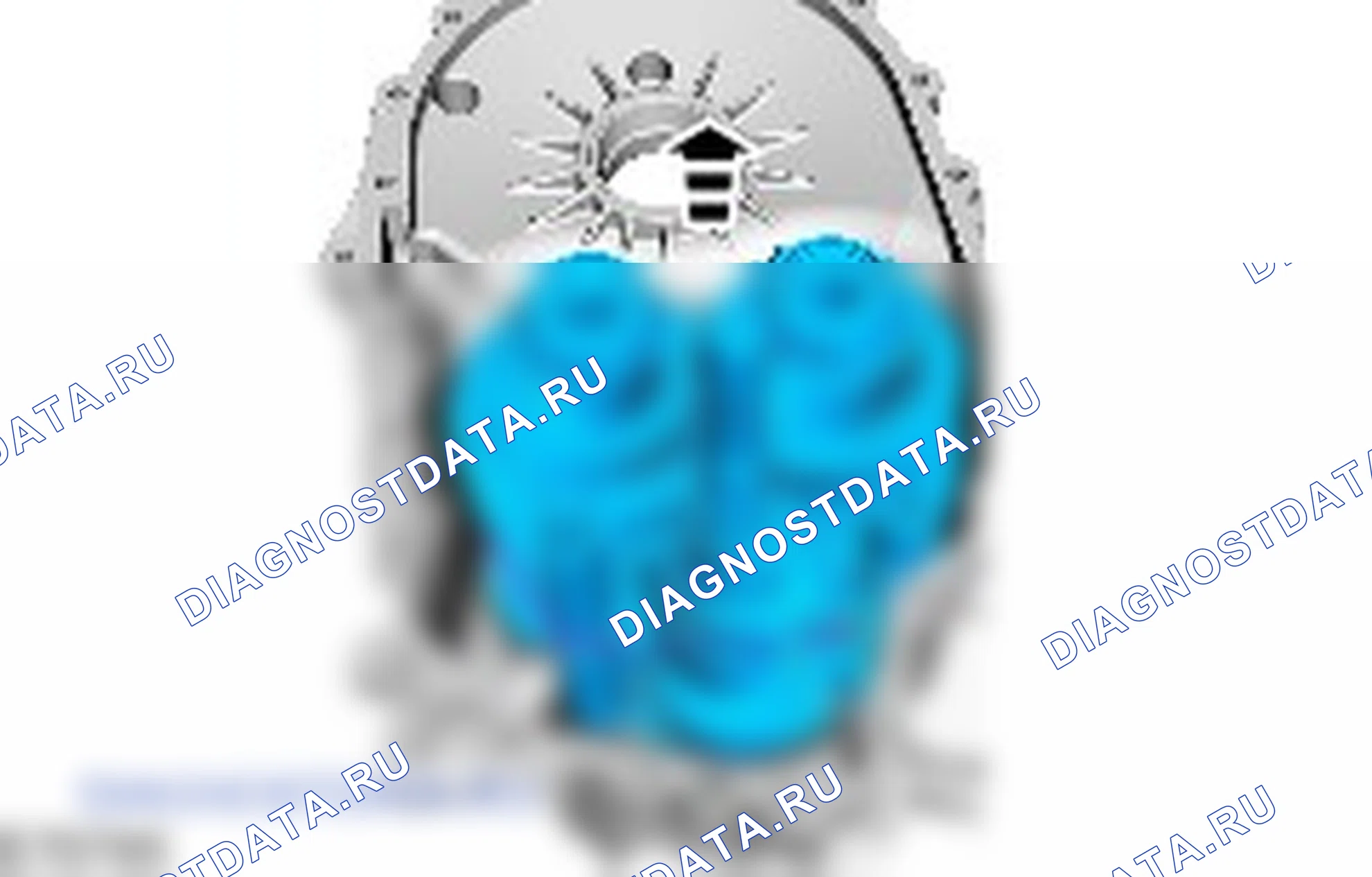 Разборка коробки передач. Ford S-MAX I