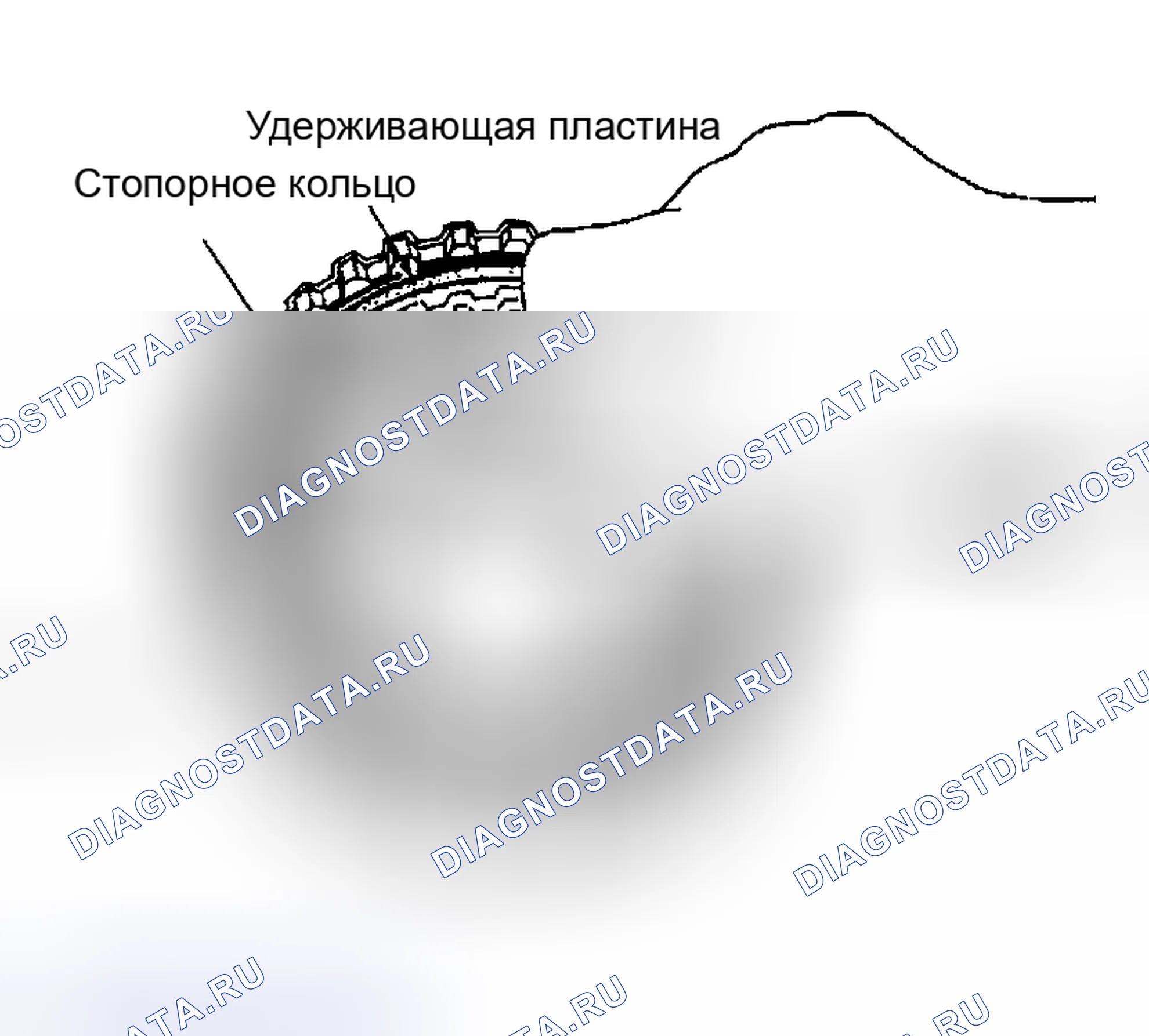 Рис. 232. Nissan Altima L31
