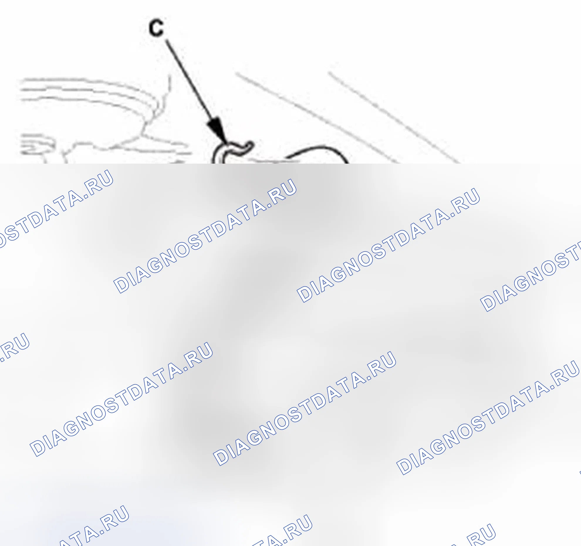 Рис. 261. Honda CR-V IV