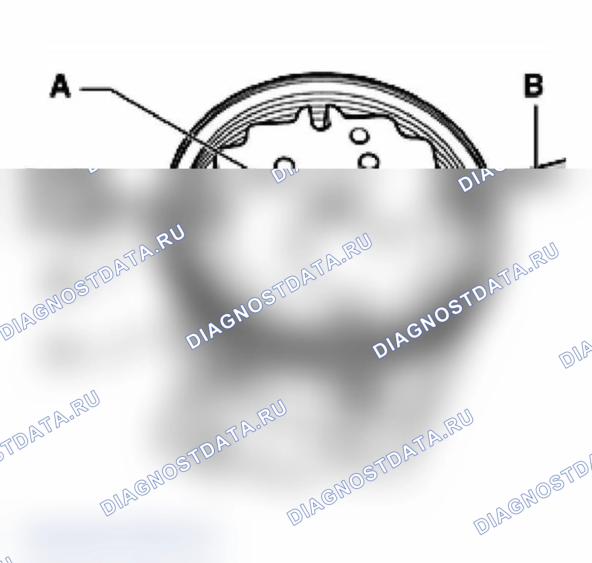 Рис. 2. Audi A4 B6