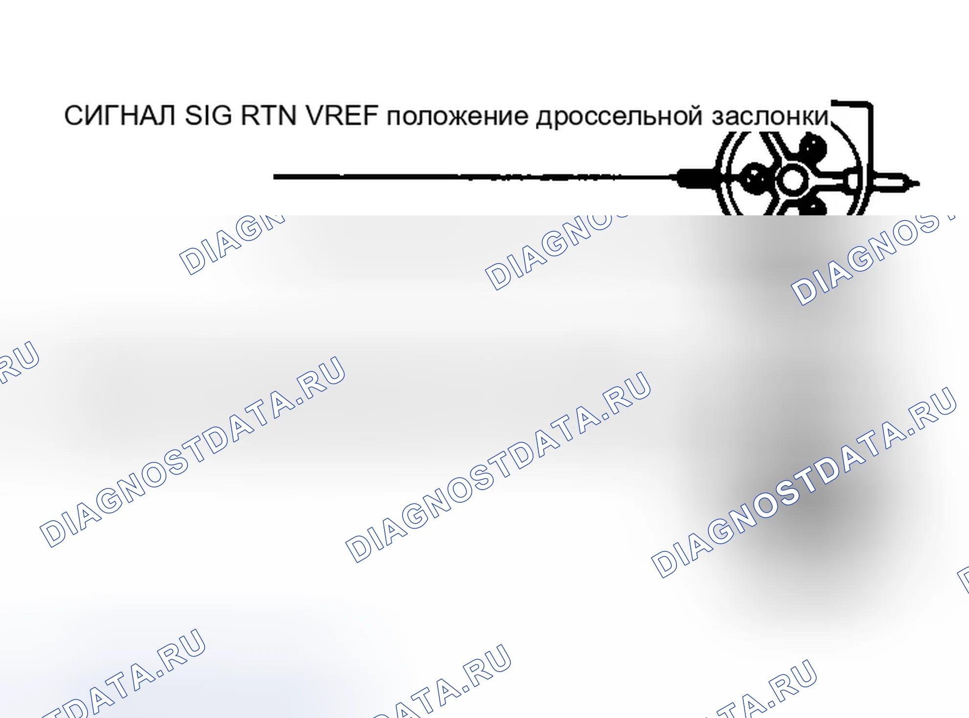 Рис. 23: Идентификатор клеммы соединителя кабеля датчик положения дроссельной заслонки. Ford Econoline E350 