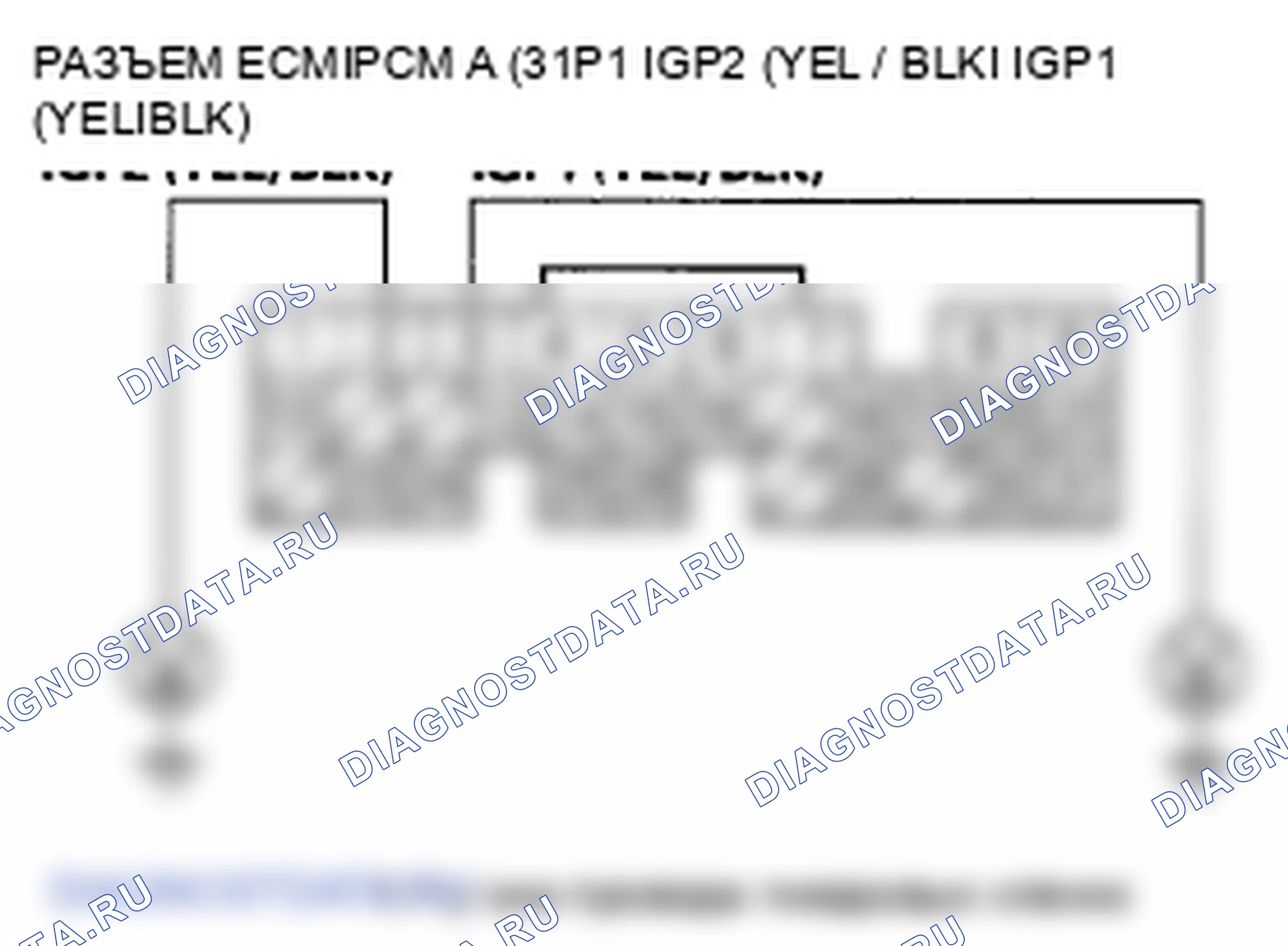 Рис. 478. Honda Element YH2 рестайлинг 2