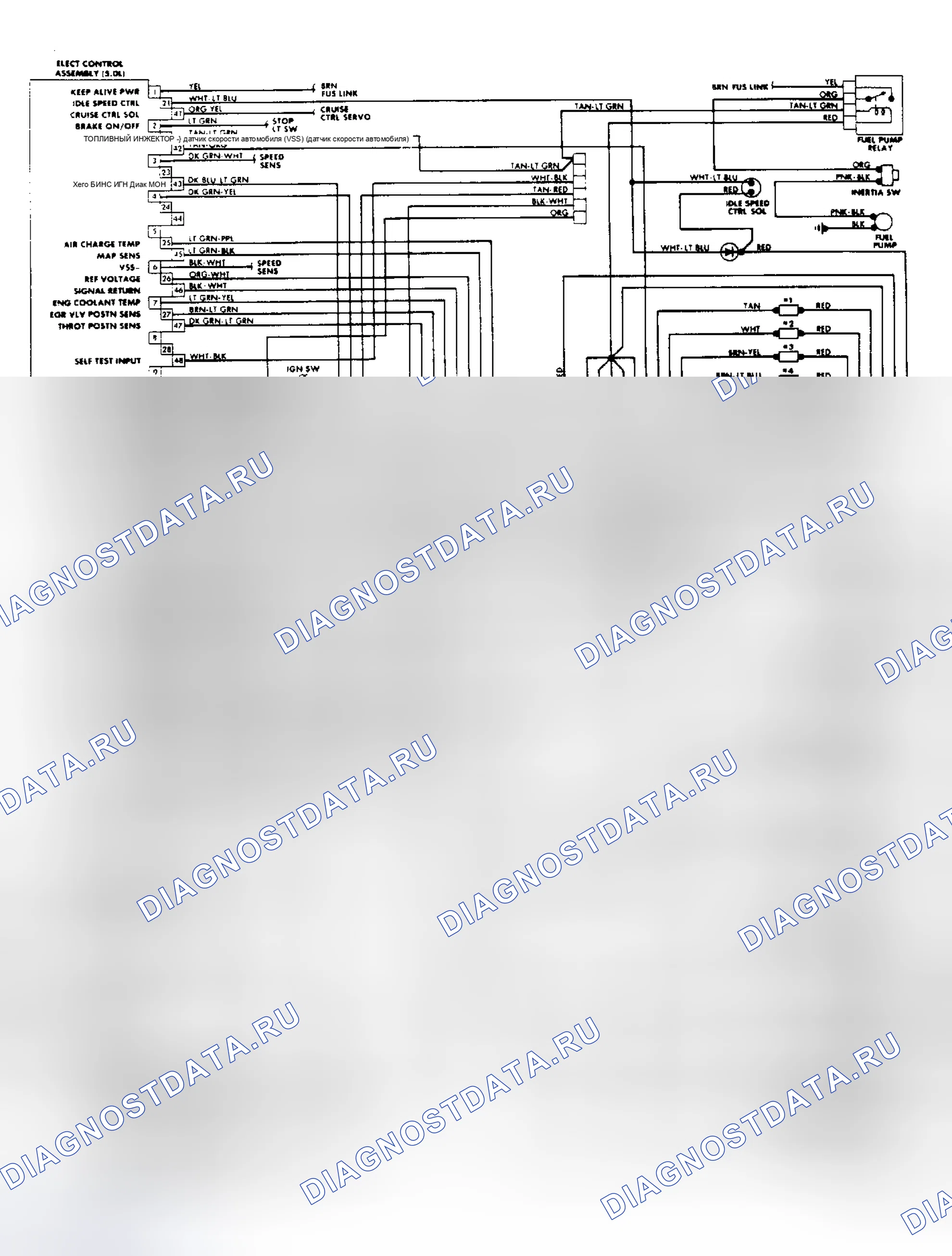 Рис. 62: Проводка 5.0L SEFI EEC-IV диам. (Корона Виктории и Великого маркиза). Ford Tempo I