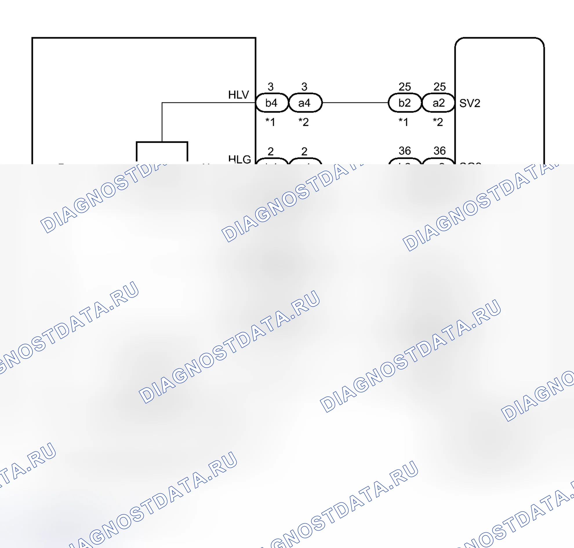 Рис. 43: электросхема. Toyota Sienna III