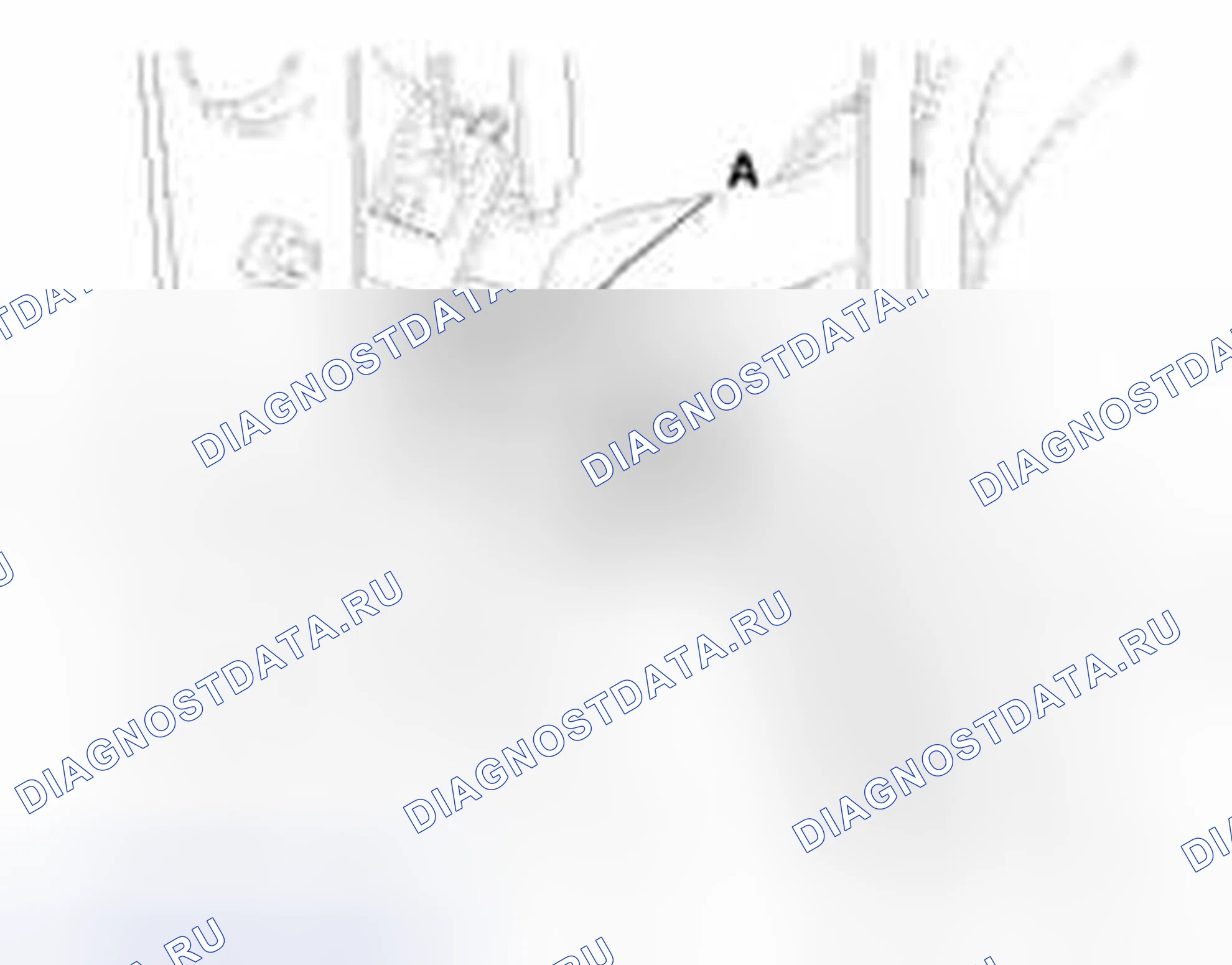 Рис. 392. Geely Vision X3 Pro I