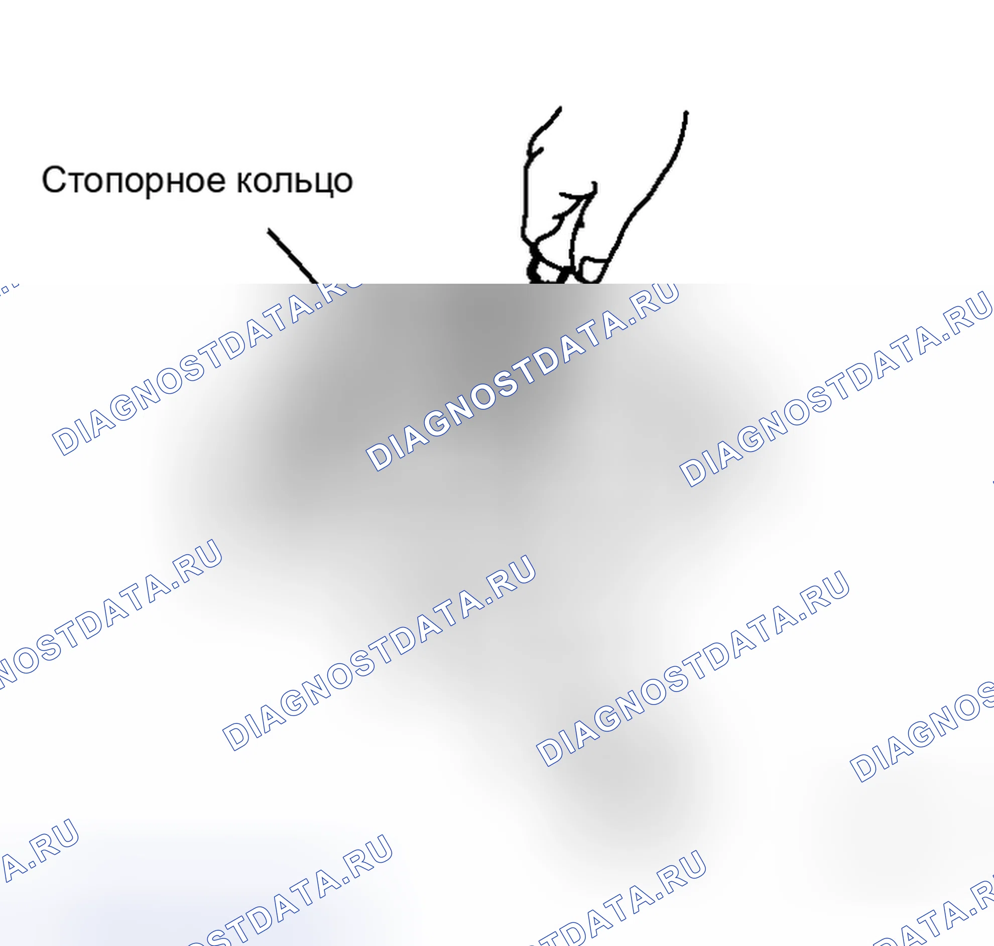 Рис. 32. Honda Stepwgn I