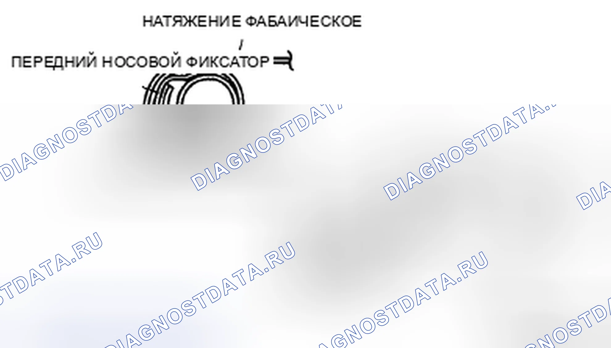 Рис. 134. Mazda MX-5 NC рестайлинг