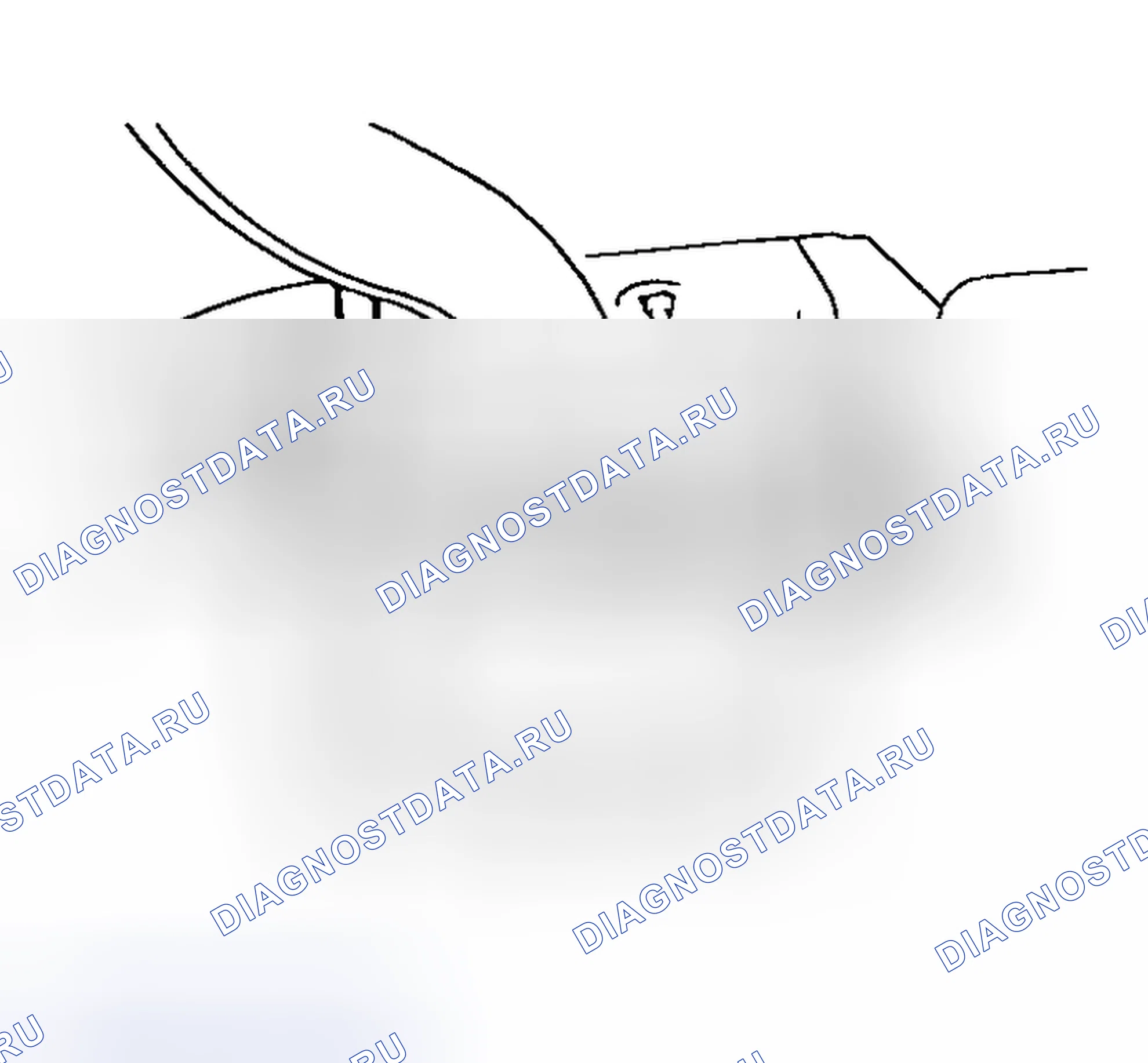 Рис. 198. Geely Monjaro I