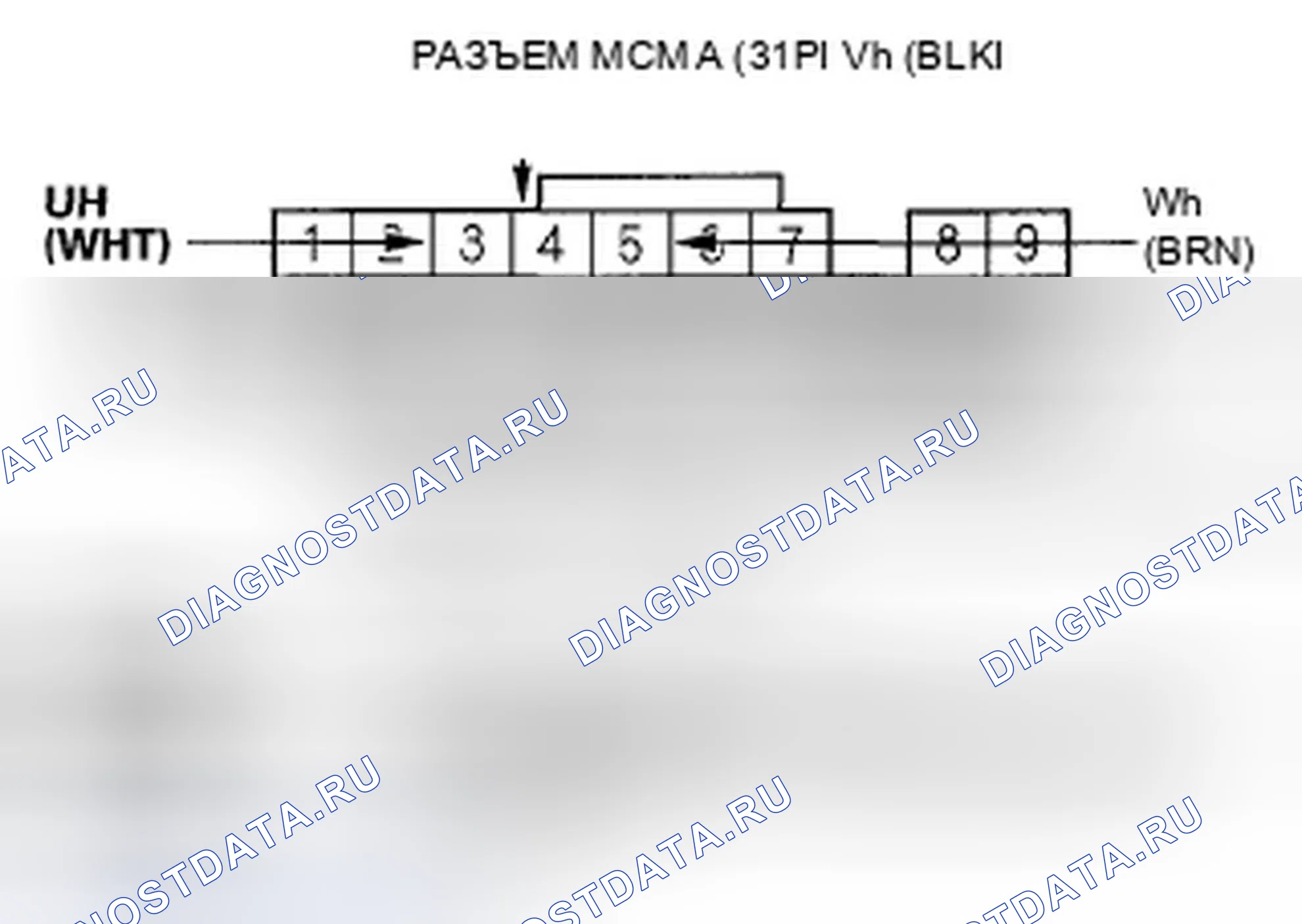 Рис. 355. Honda Accord VII рестайлинг