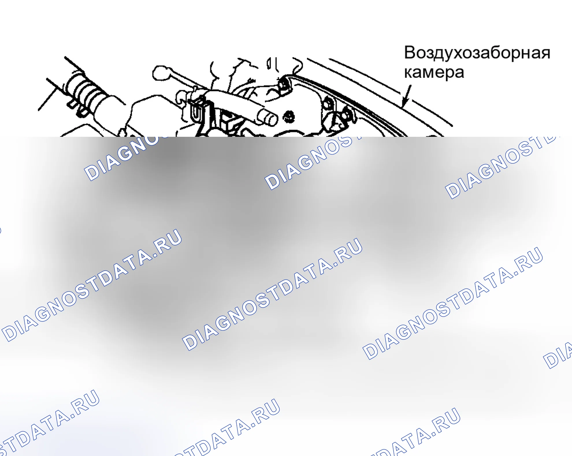 Рис. 7: GS300 и SC300. Haval H9 I