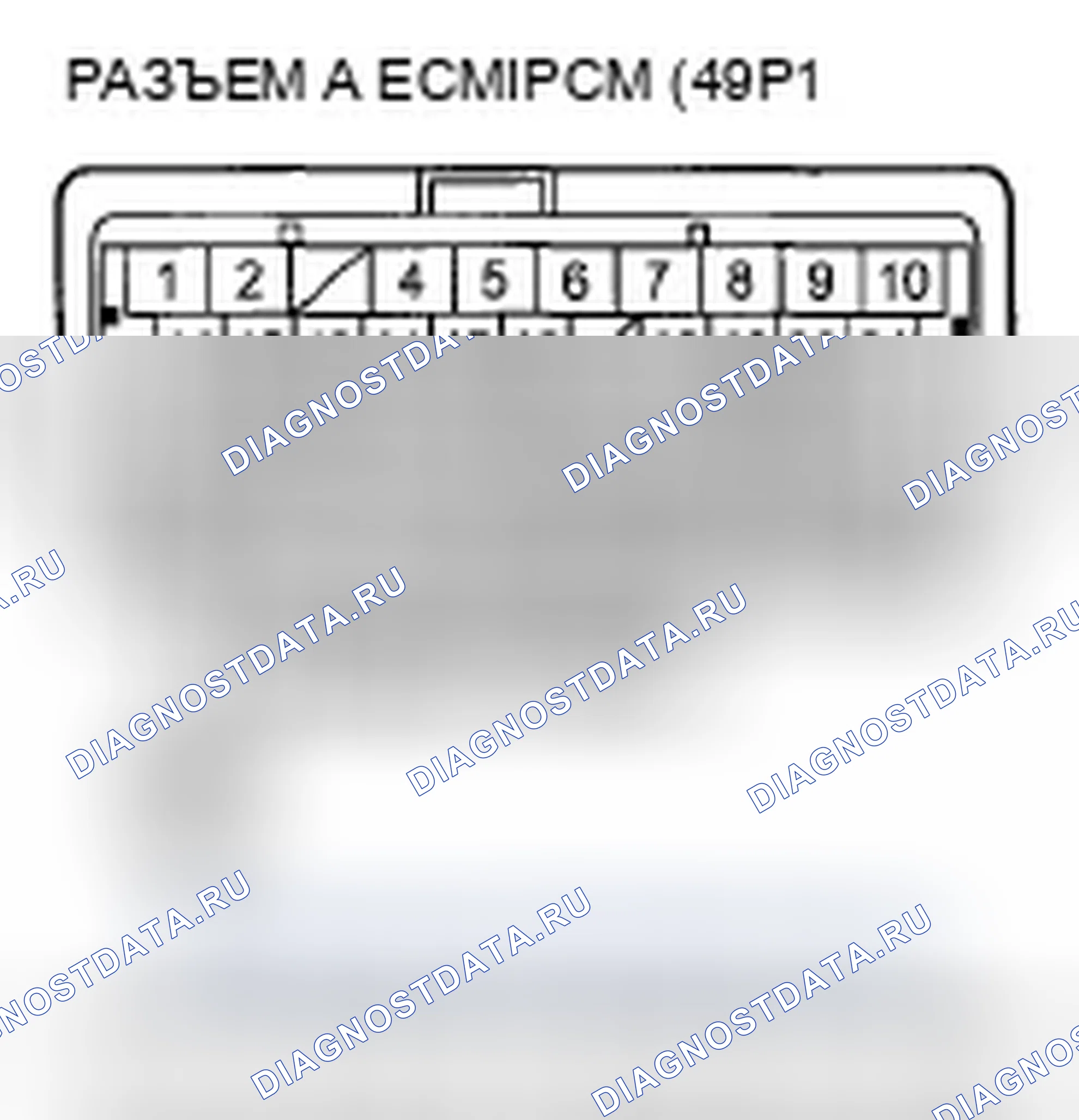 Рис. 541. Honda Accord VIII рестайлинг