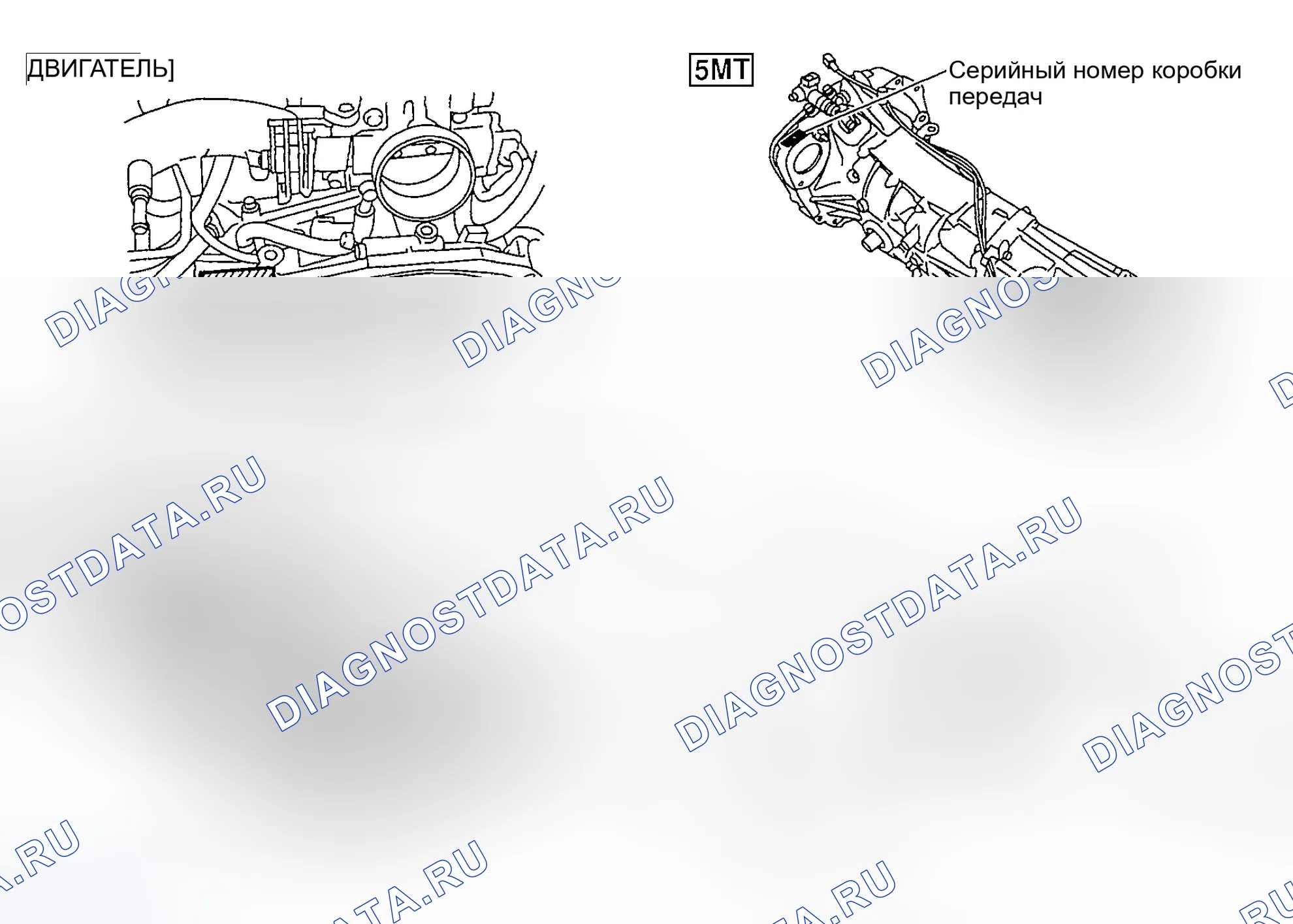 Рис. 2. Subaru Forester SG