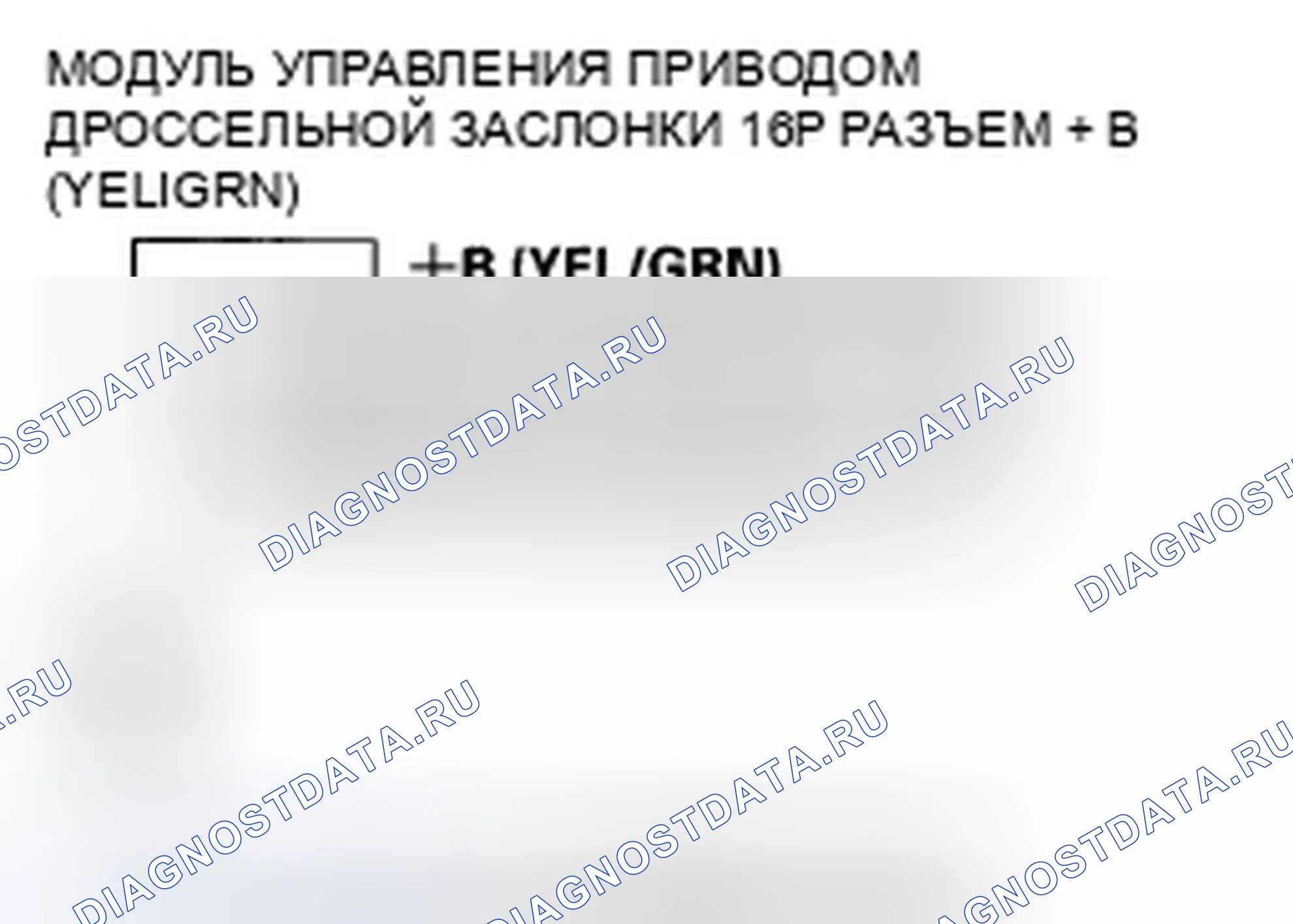 Рис. 339. Honda Element YH2 рестайлинг