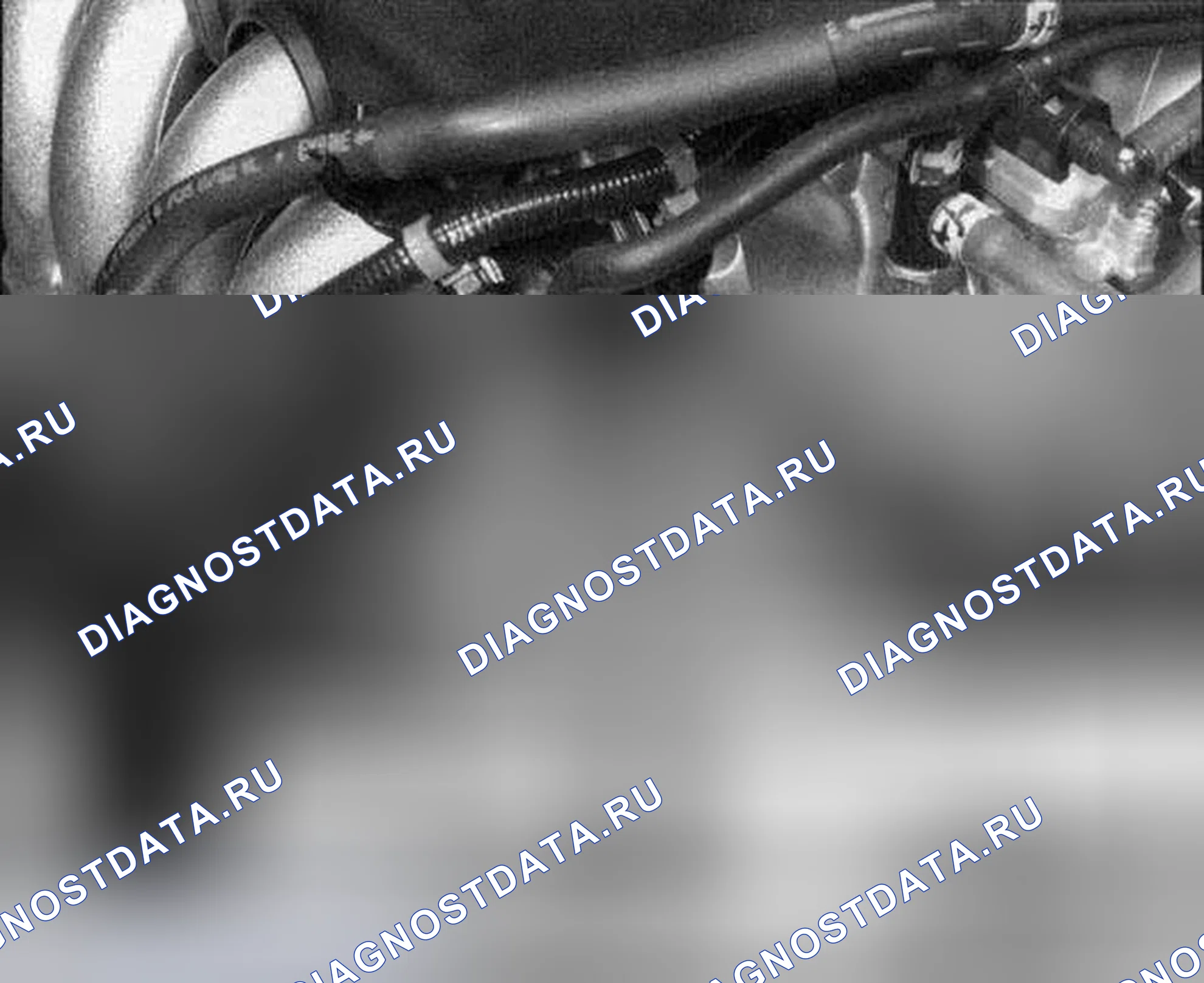 Рис. 315. Honda Accord VII рестайлинг