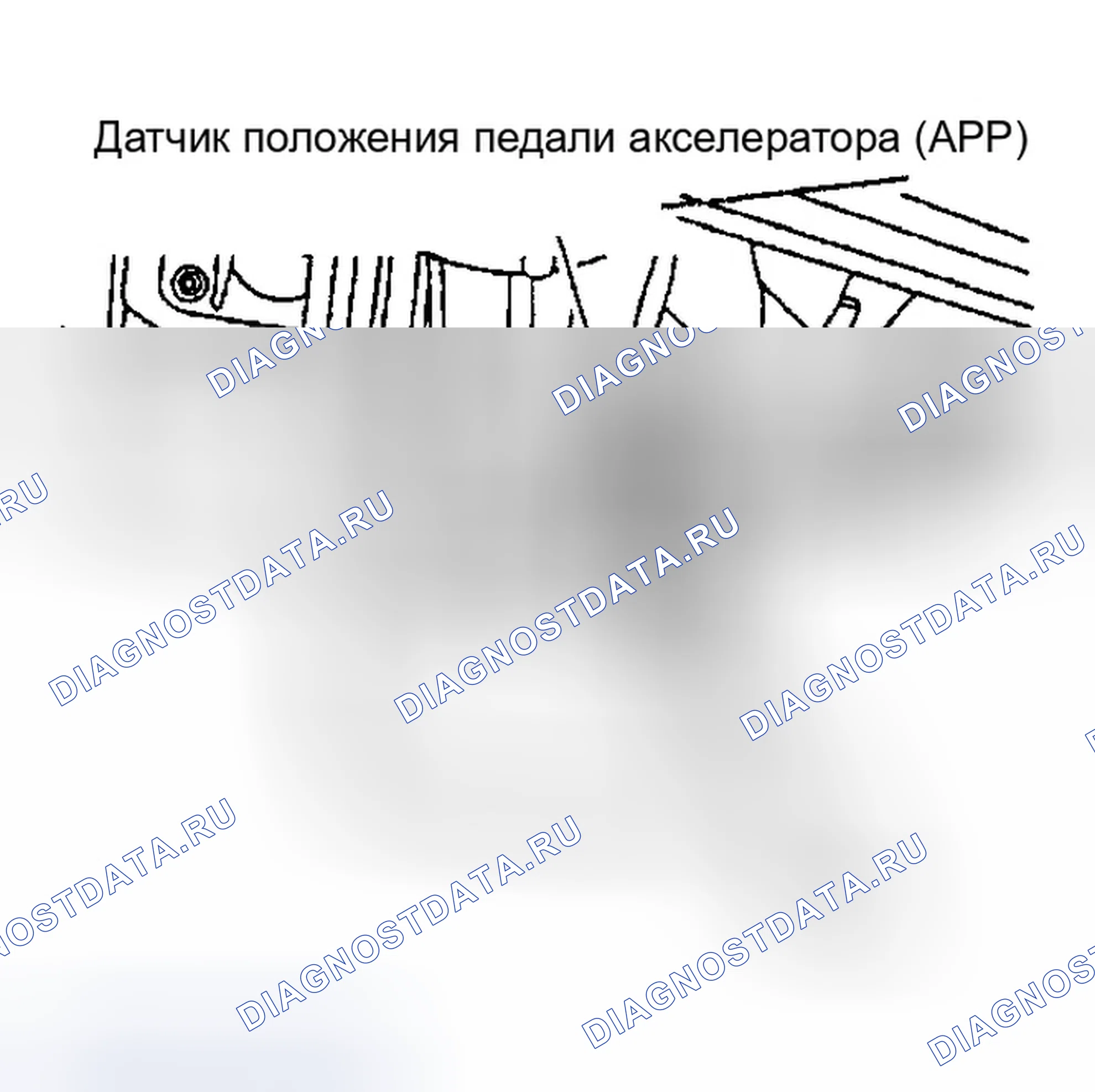 Рис. 20: РАСПОЛОЖЕНИЕ КОМПОНЕНТОВ. Infiniti I35 II
