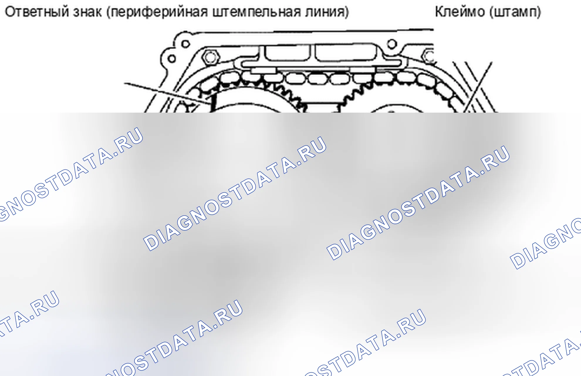 Рис. 29. Suzuki Equator I