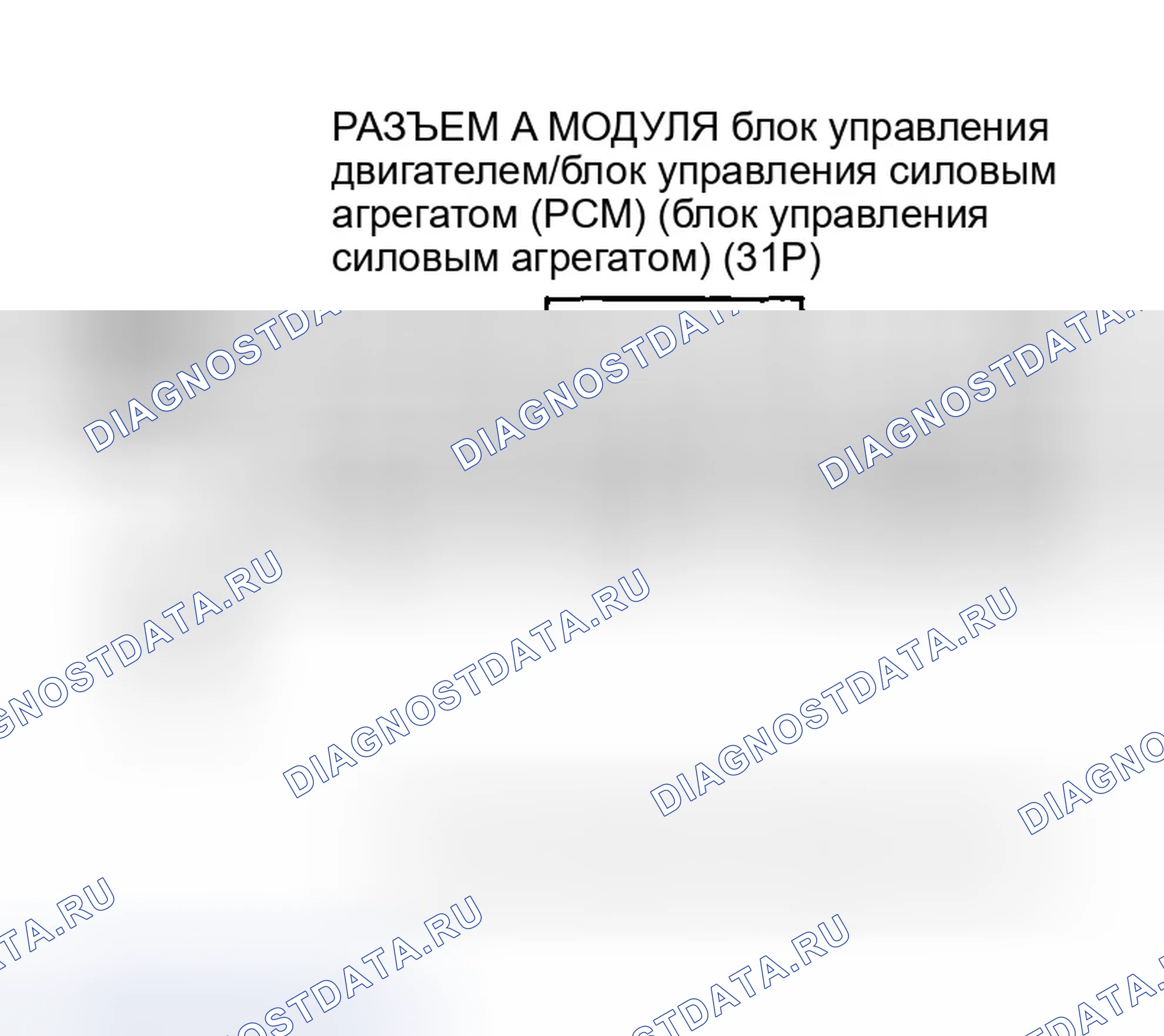 Рис. 76. Honda Accord VII рестайлинг