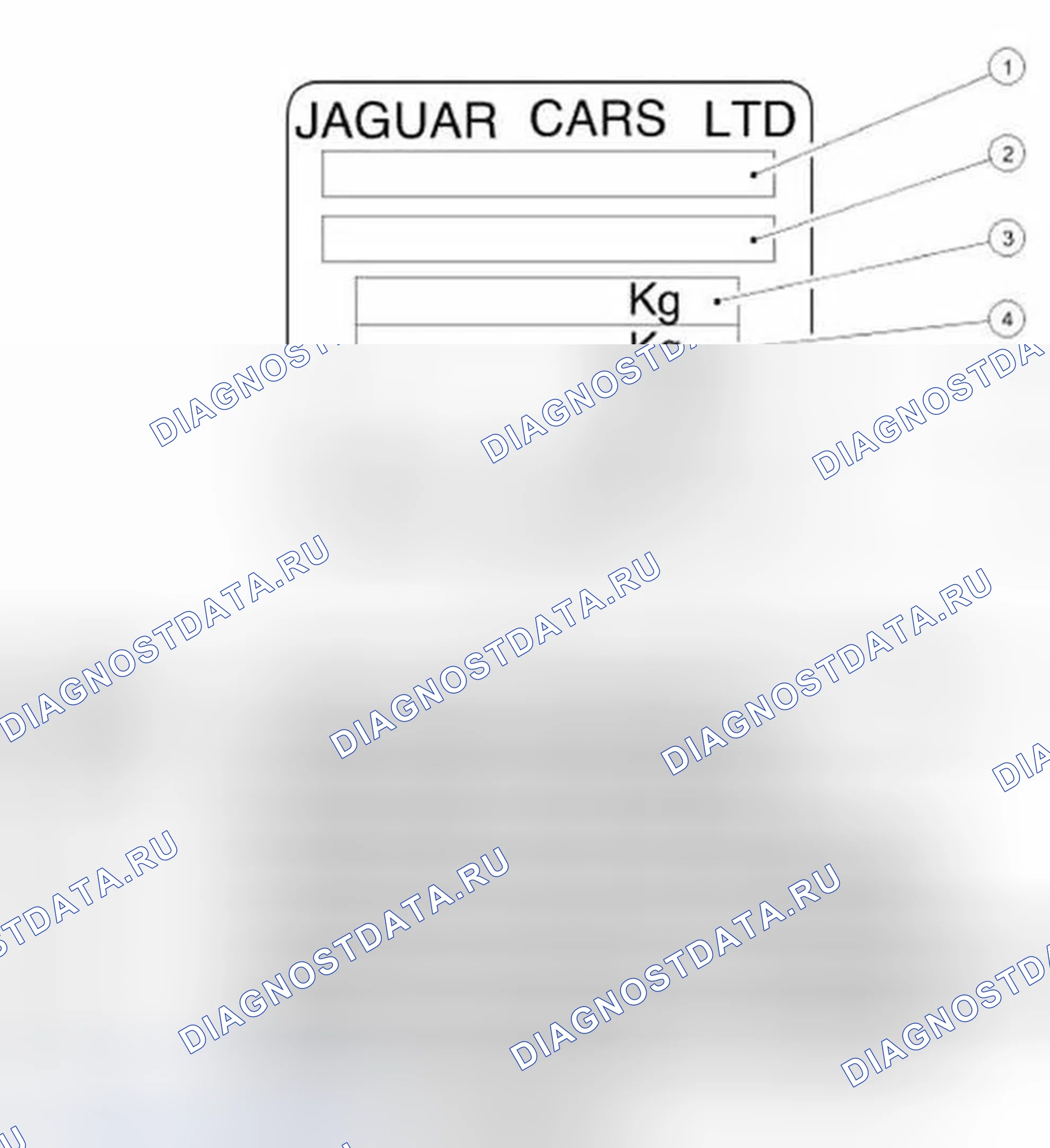 Рис. 8: Номер сертификации транспортного средства (Европа и остальной мир). Jaguar S-type I