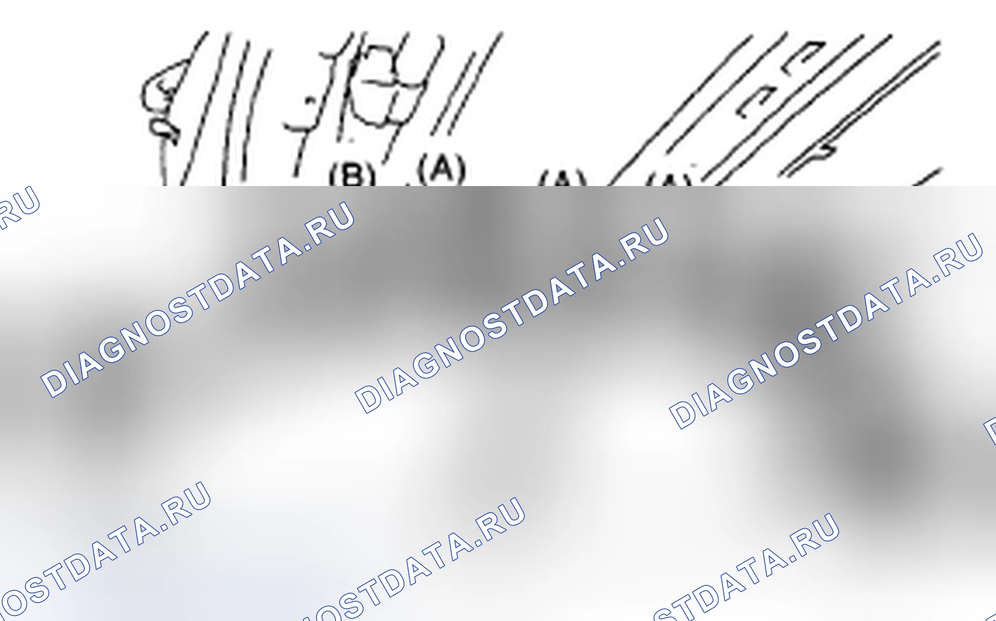 Рис. 79. Subaru Legacy BL/BP рестайлинг
