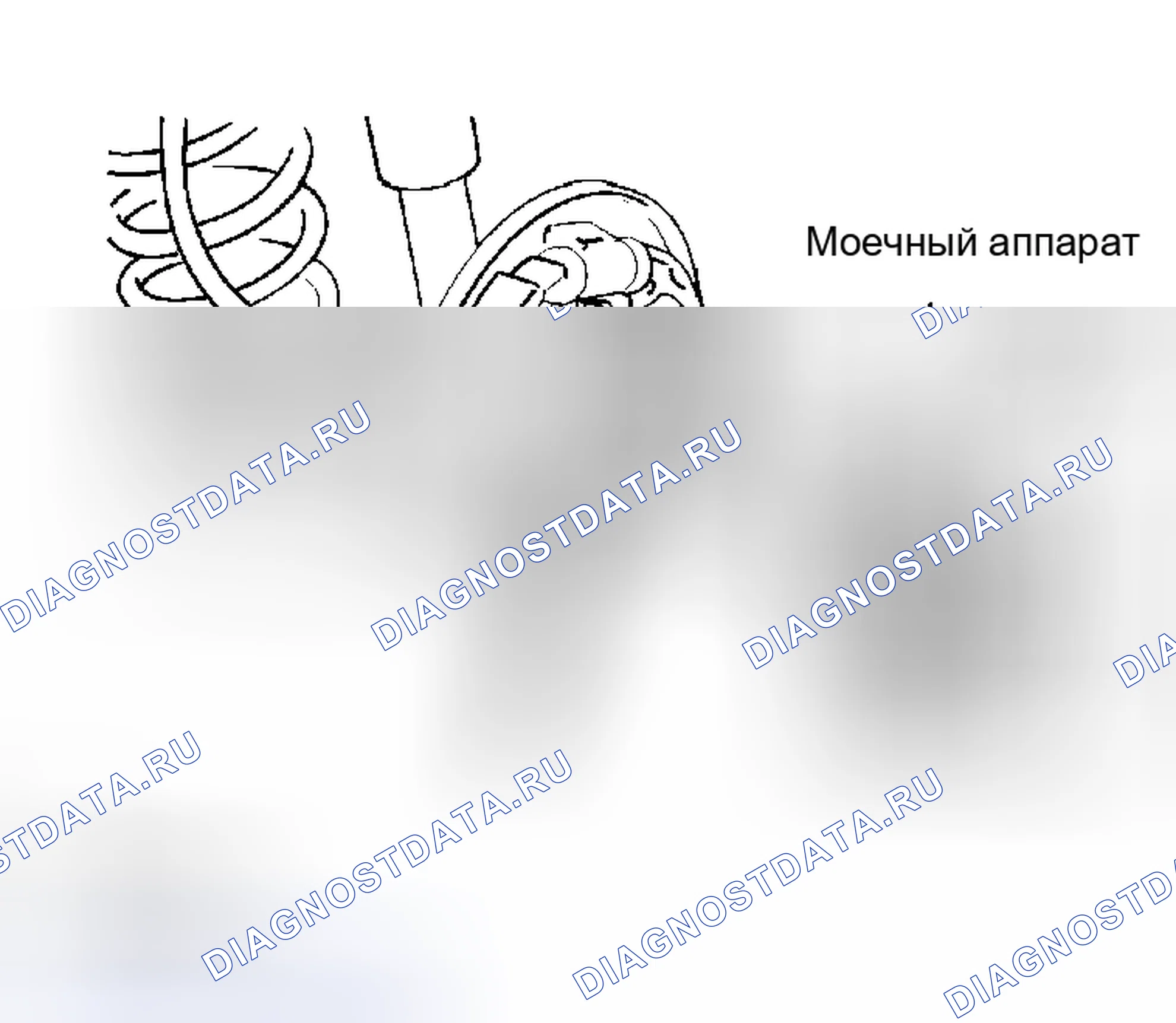 Рис. 26. Scion xB I