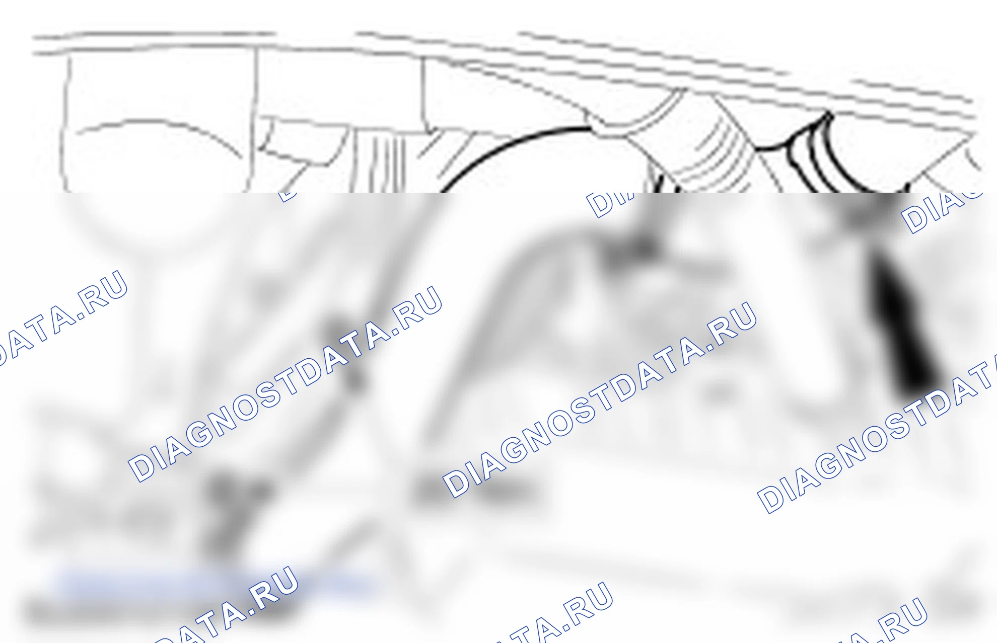 Как снять и установить Ремень ГРМ? Снятие и установка (21 304 0). Ford Galaxy I