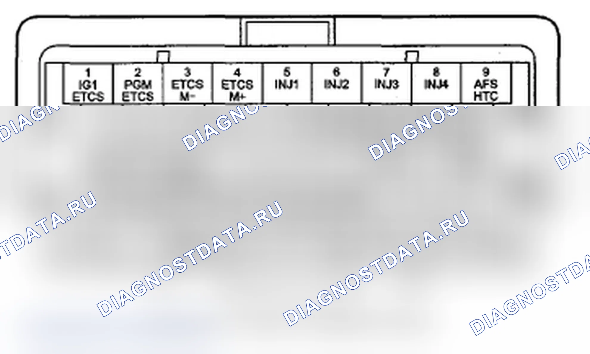 Рис. 22: Входы и выходы ИКМ разъема C (o) (44P). Acura RDX I рестайлинг