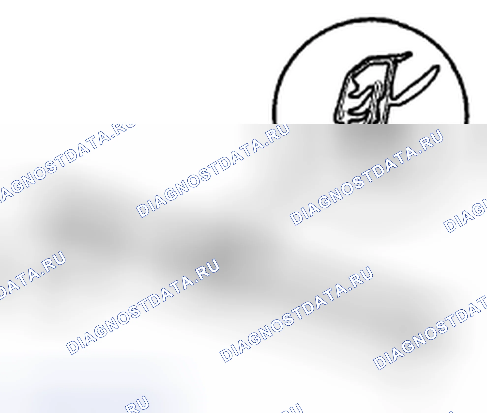 Рис. 65. Acura CSX I