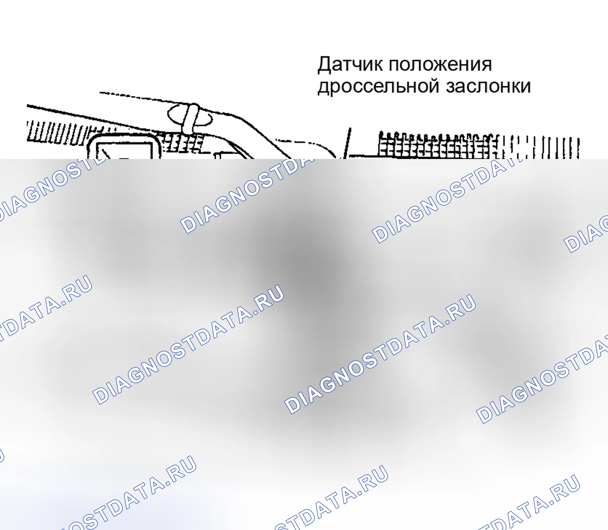 Рис. 3: Optima и Magentis (Канада) 2.4L. Geely Xingyue L I