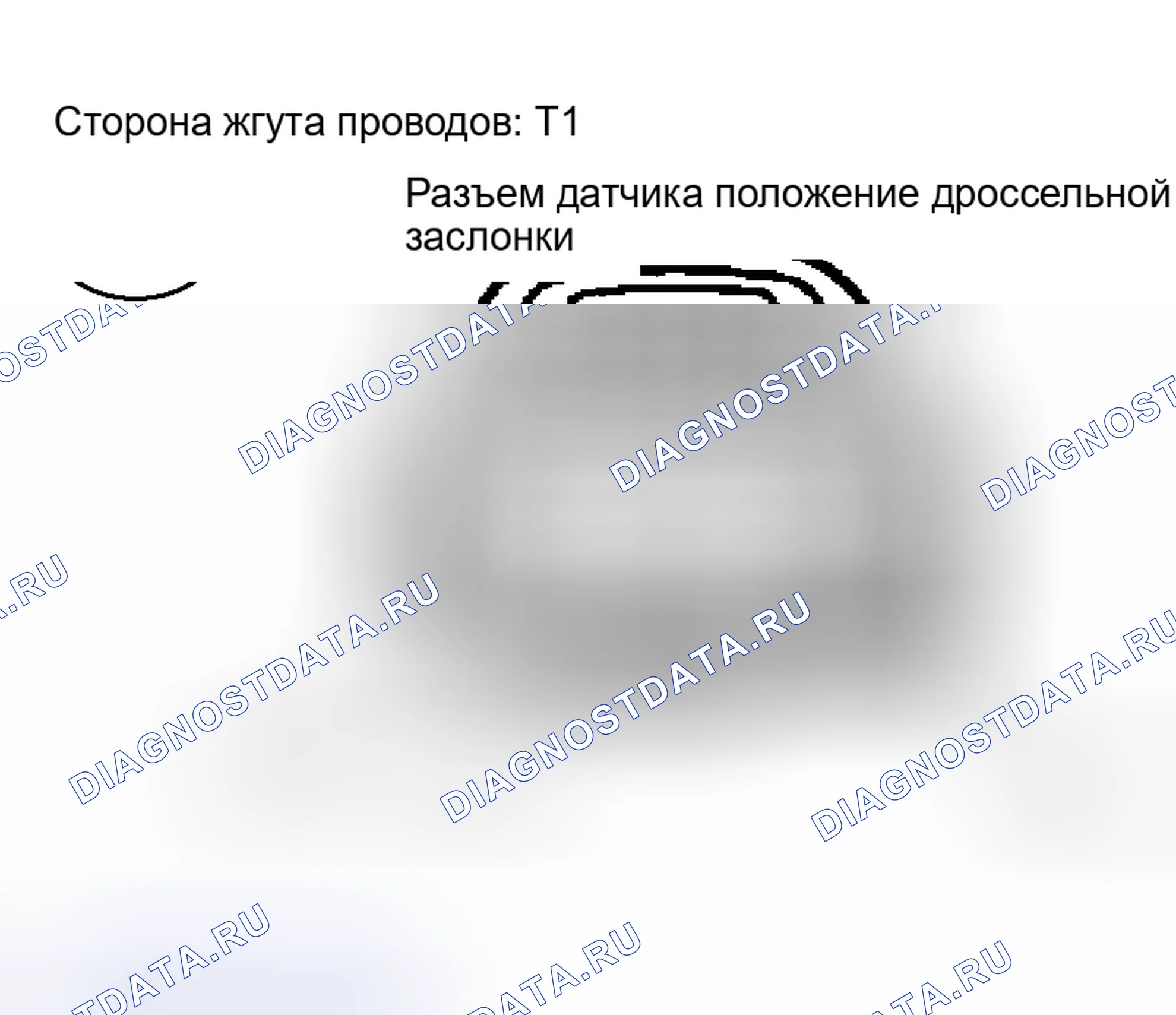 Рис. 102. Scion xB I