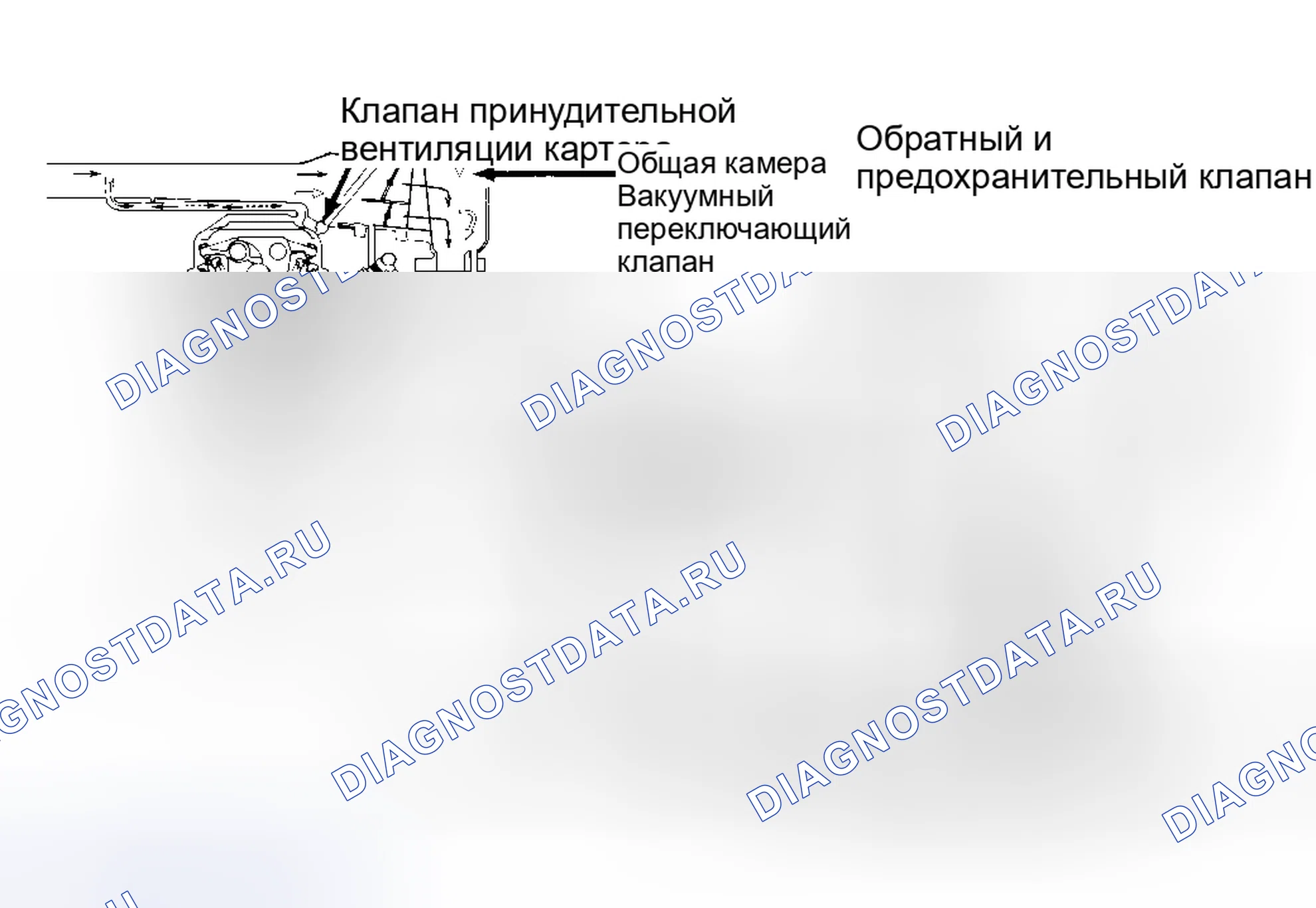 Рис. 5: СИСТЕМА ИСПАРИТЕЛЬНЫХ ВЫБРОСОВ. Geely Coolray I