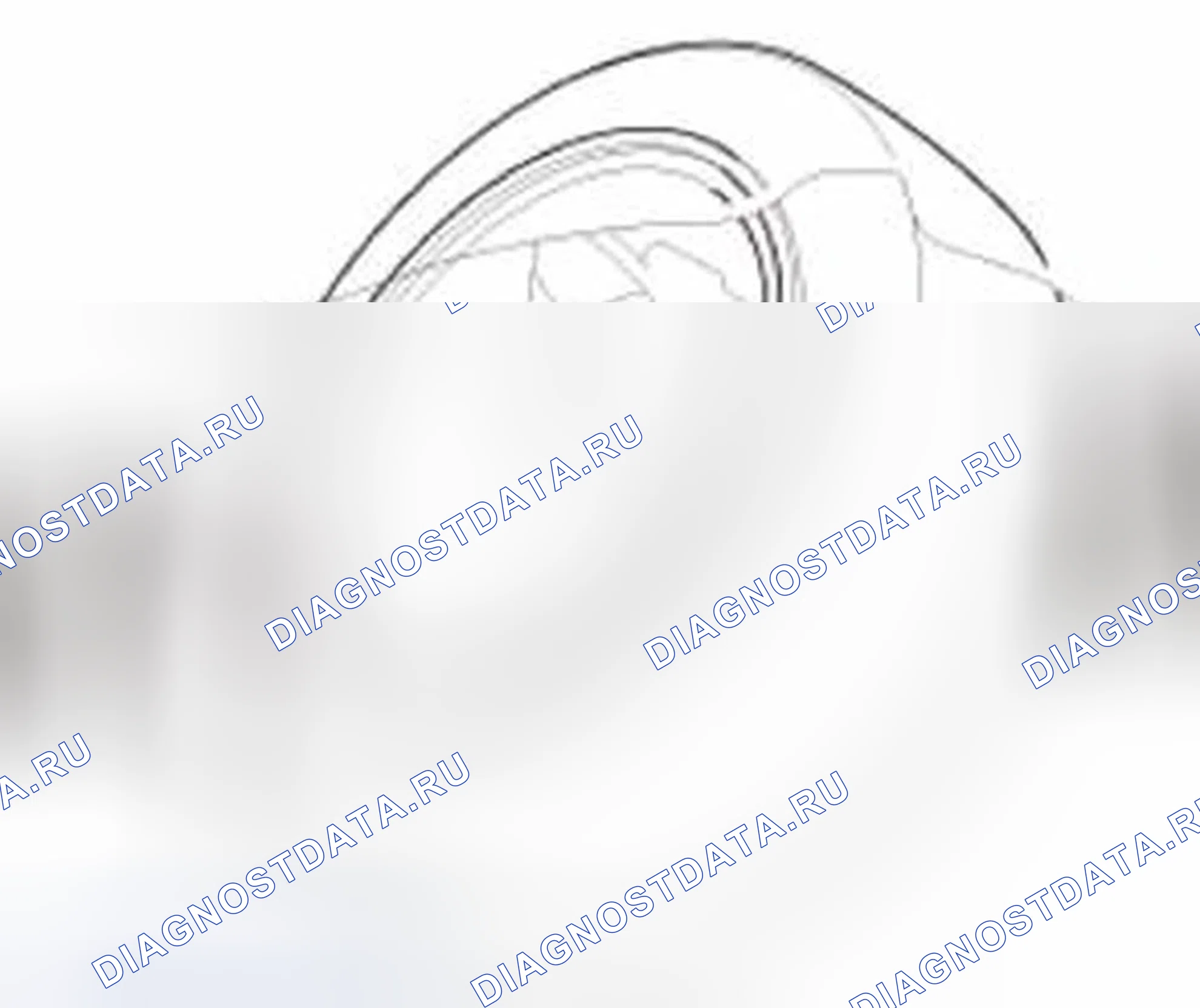 Рис. 211: Проверка передней подвески. Honda Civic IX