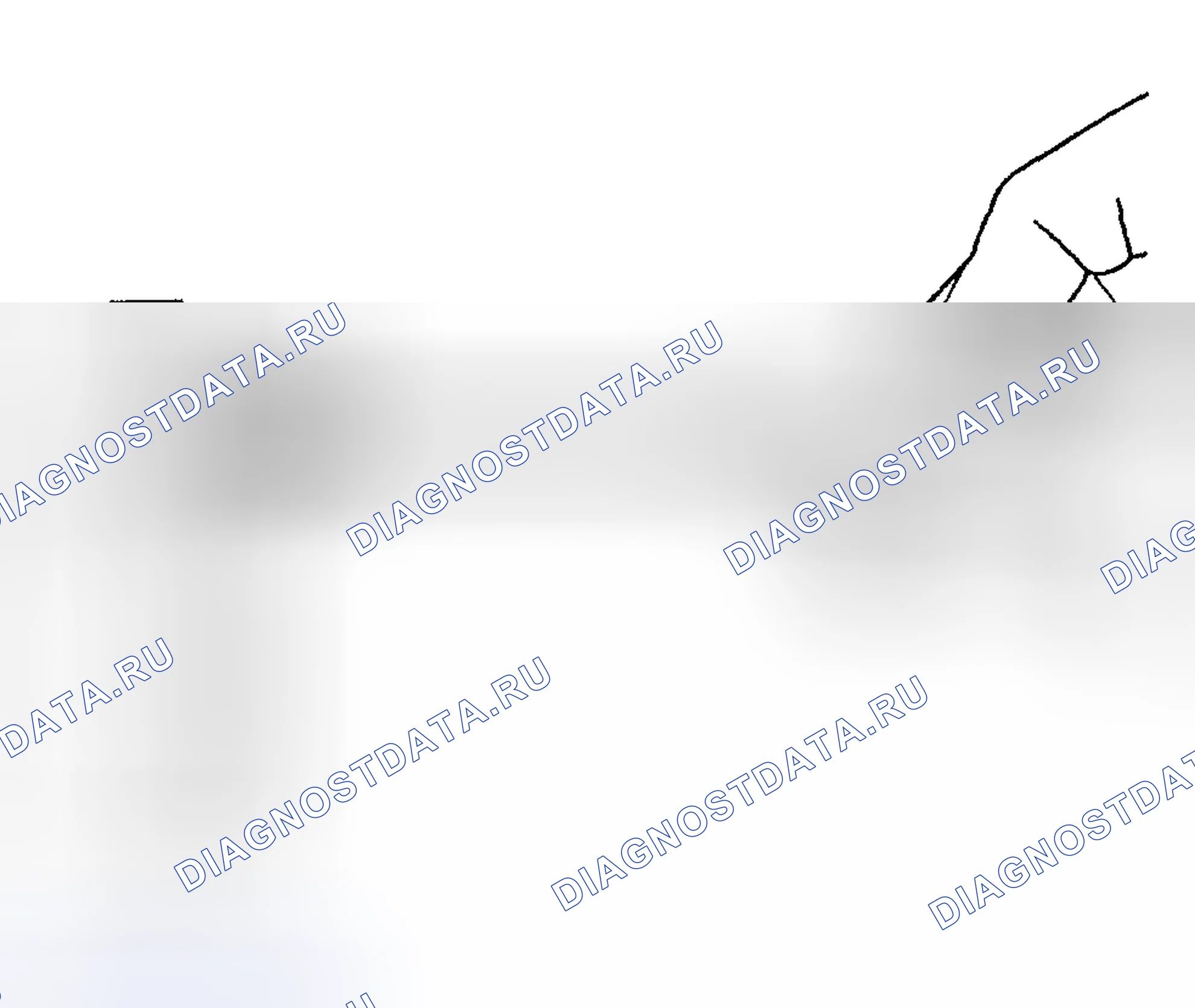 Рис. 1104. Hyundai Terracan I
