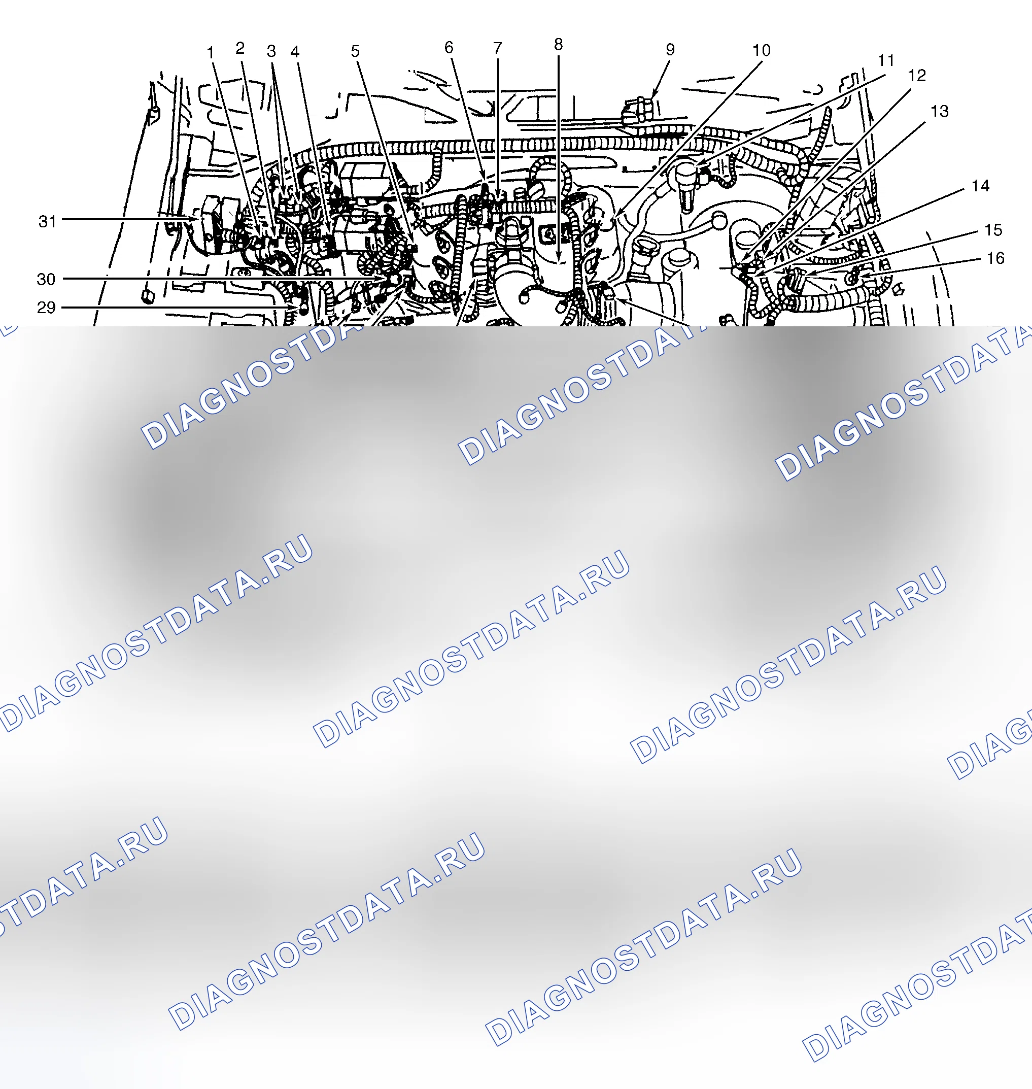 Рис. 6: ГРАФИКИ РАСПОЛОЖЕНИЯ КОМПОНЕНТОВ. Ford Pickup F250 Super Duty I