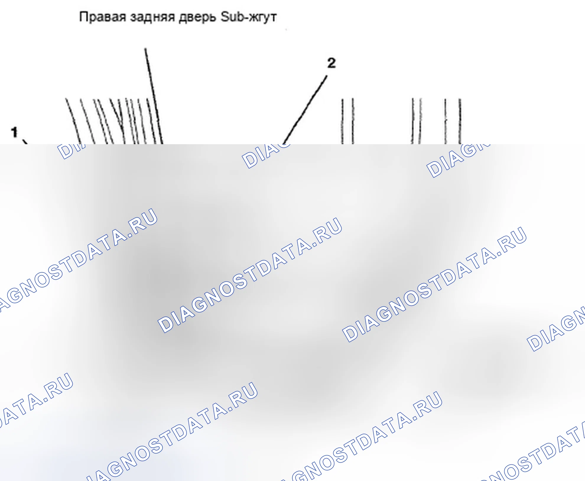 Рис. 540: Идентификация разъемов жгута проводов правой задней двери (стр. 203-48). Honda Pilot II