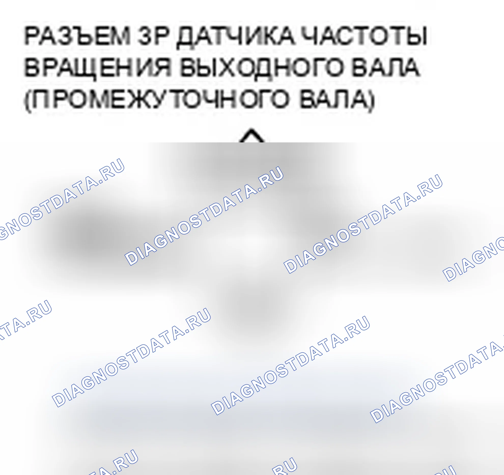 Рис. 482. Honda Element YH2 рестайлинг 2