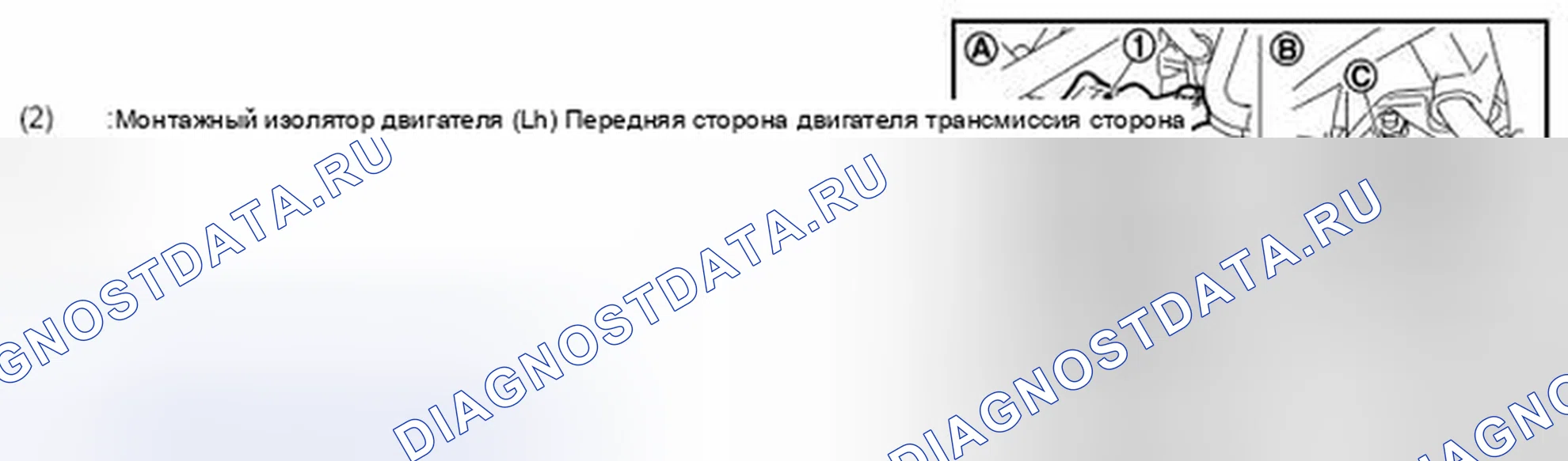 Рис. 223. Audi RS6 C8