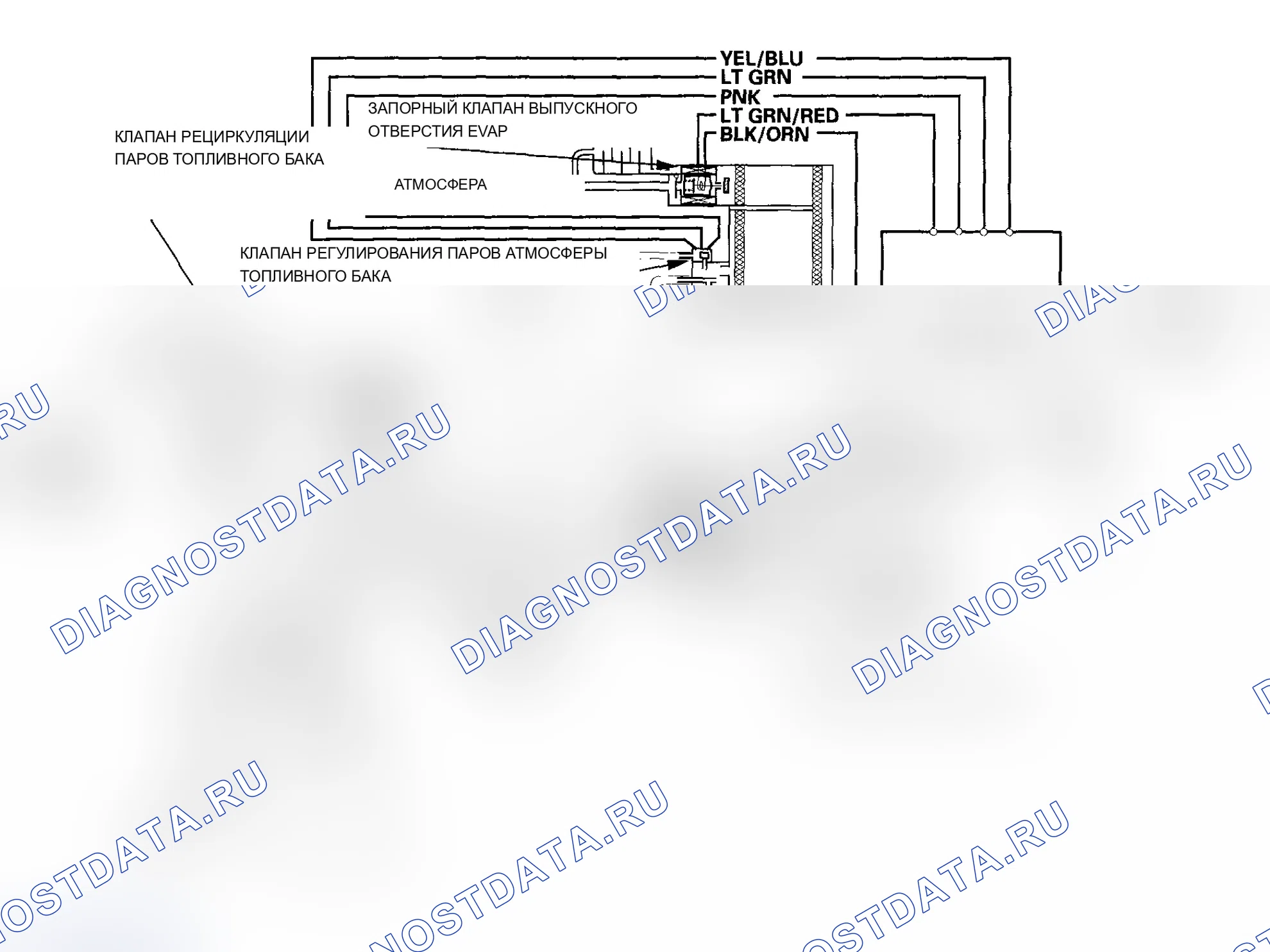 Рис. 90: Модели Diagram-2005-2006 ограничения выбросов в результате испарения (EVAP). Acura RSX I