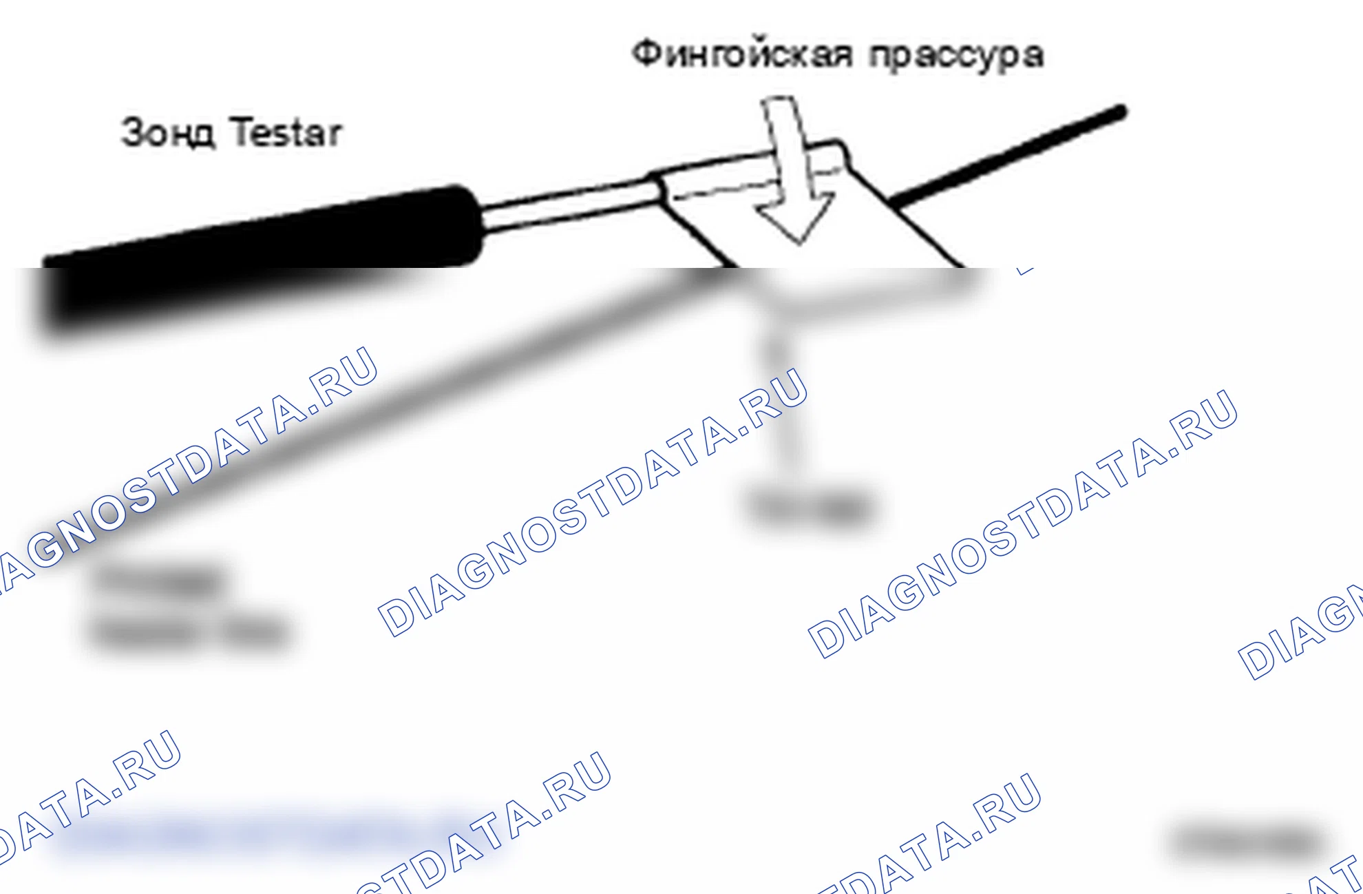 Рис. 2. Hyundai Elantra IV