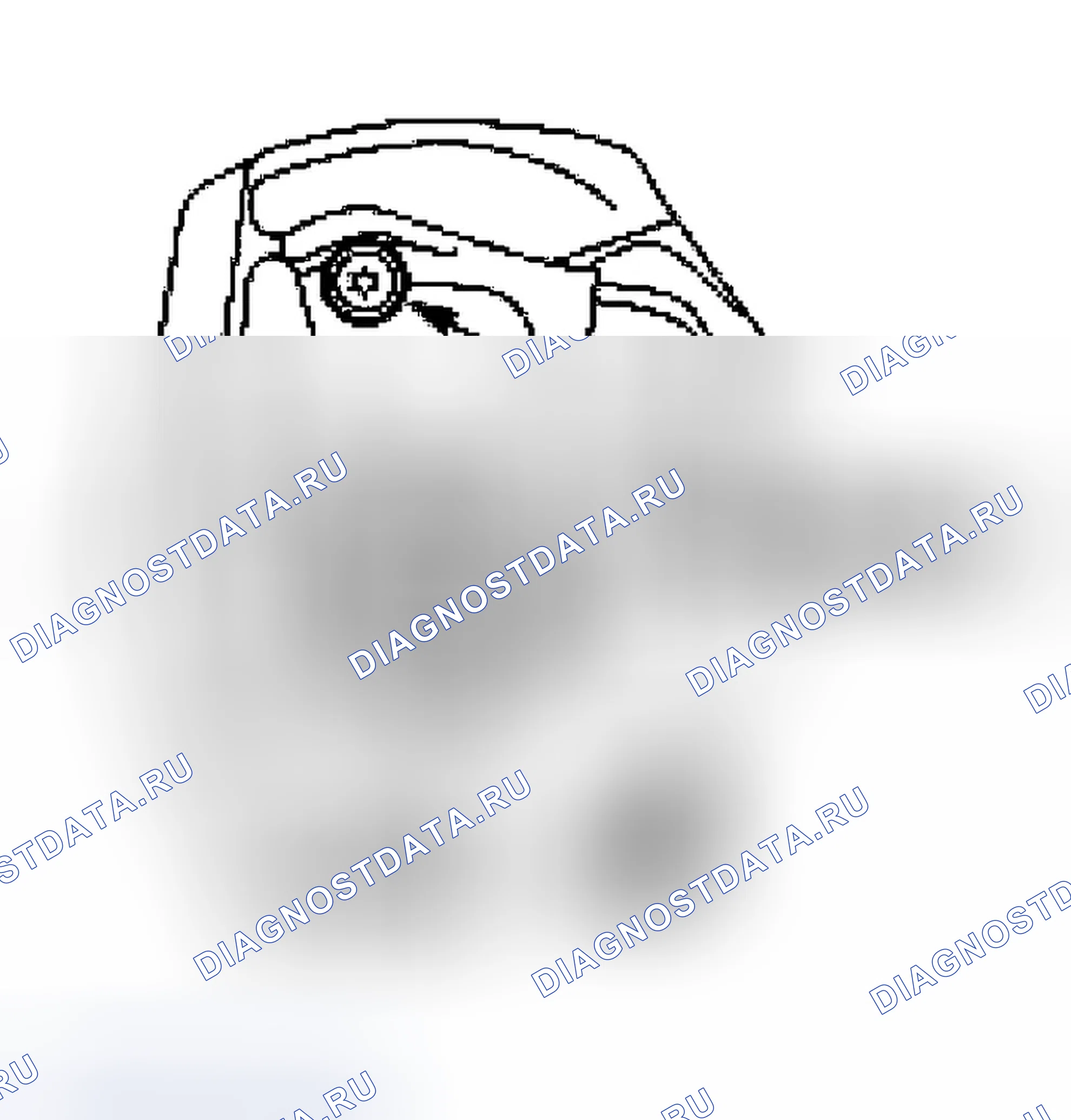 Рис. 1146. Ford Ranger I