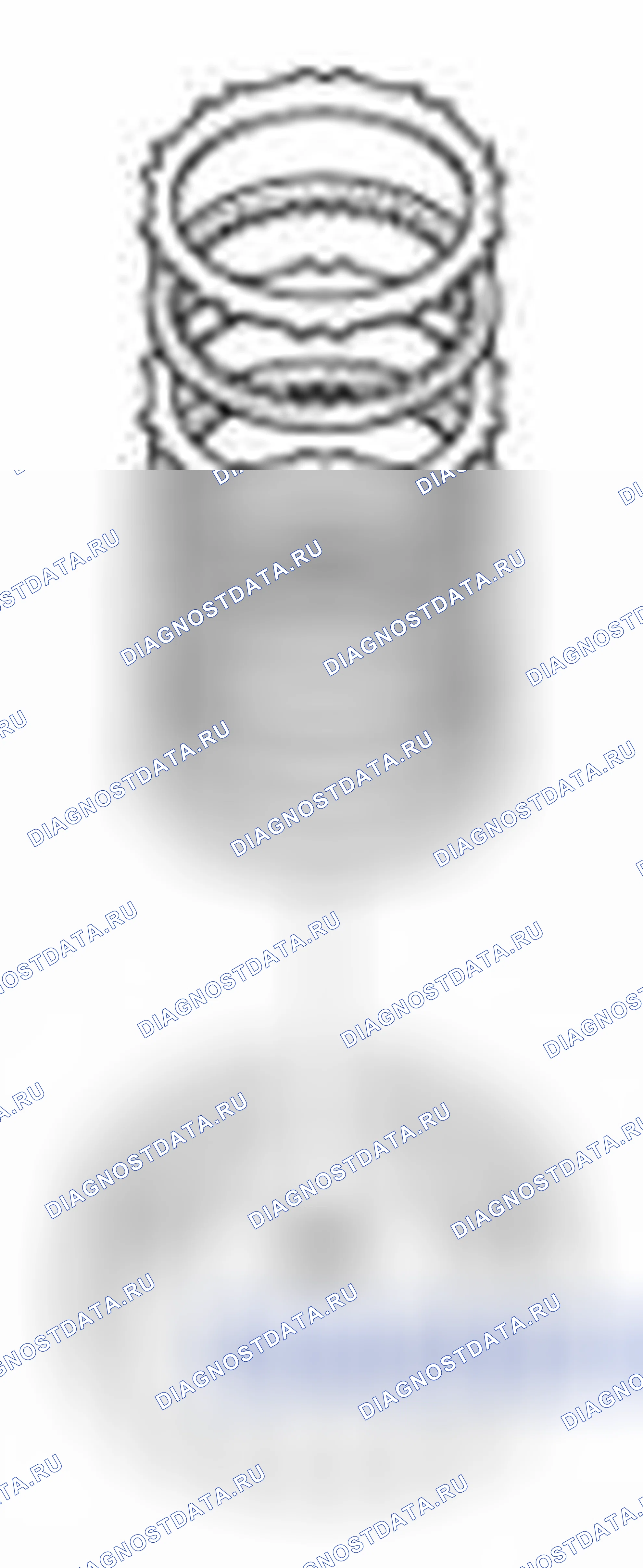 Рис. 1246. Kia Forte I