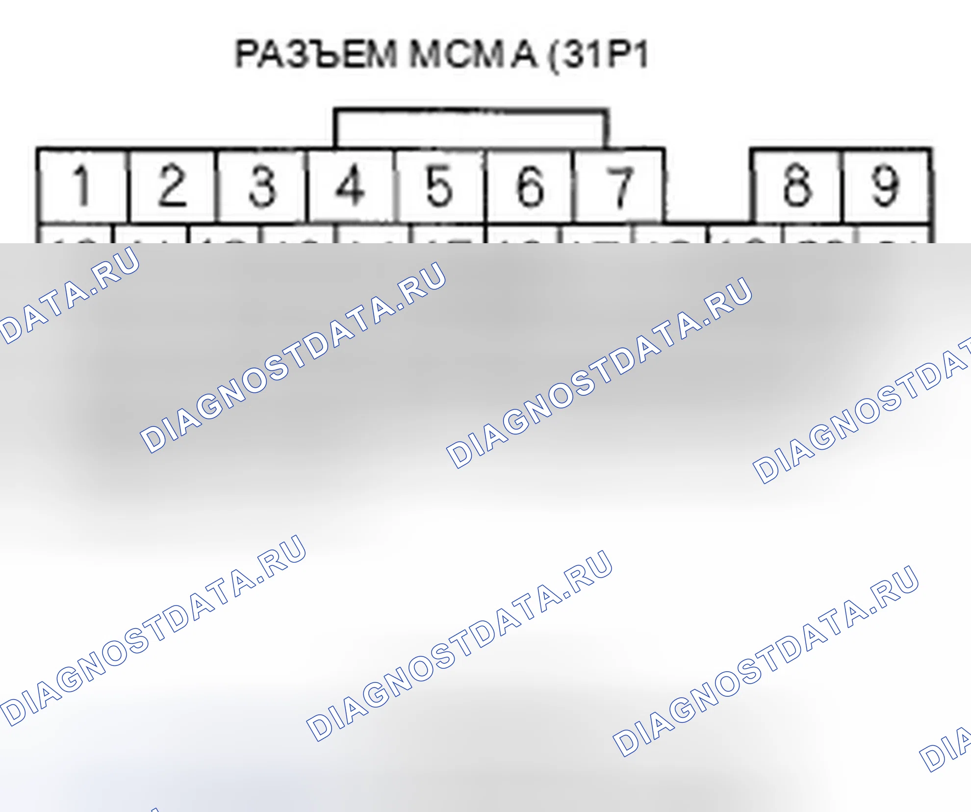Рис. 221. Honda Accord VII рестайлинг
