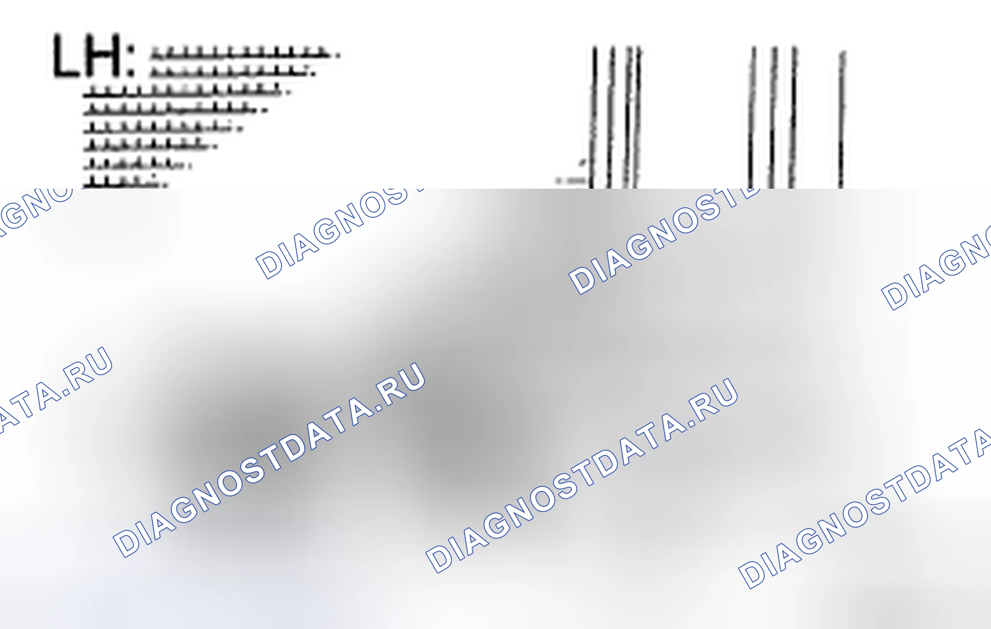 Рис. 48. Honda Accord IX
